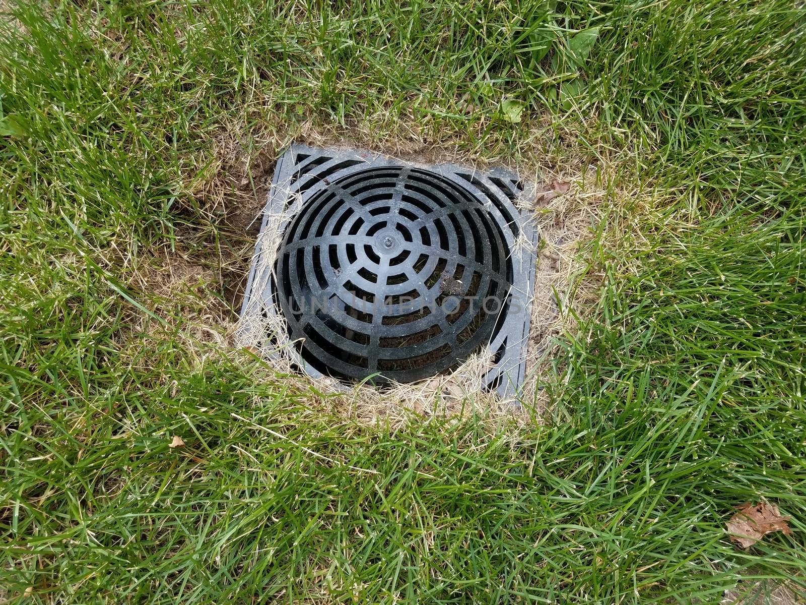 black plastic drain grate in green grass or lawn
