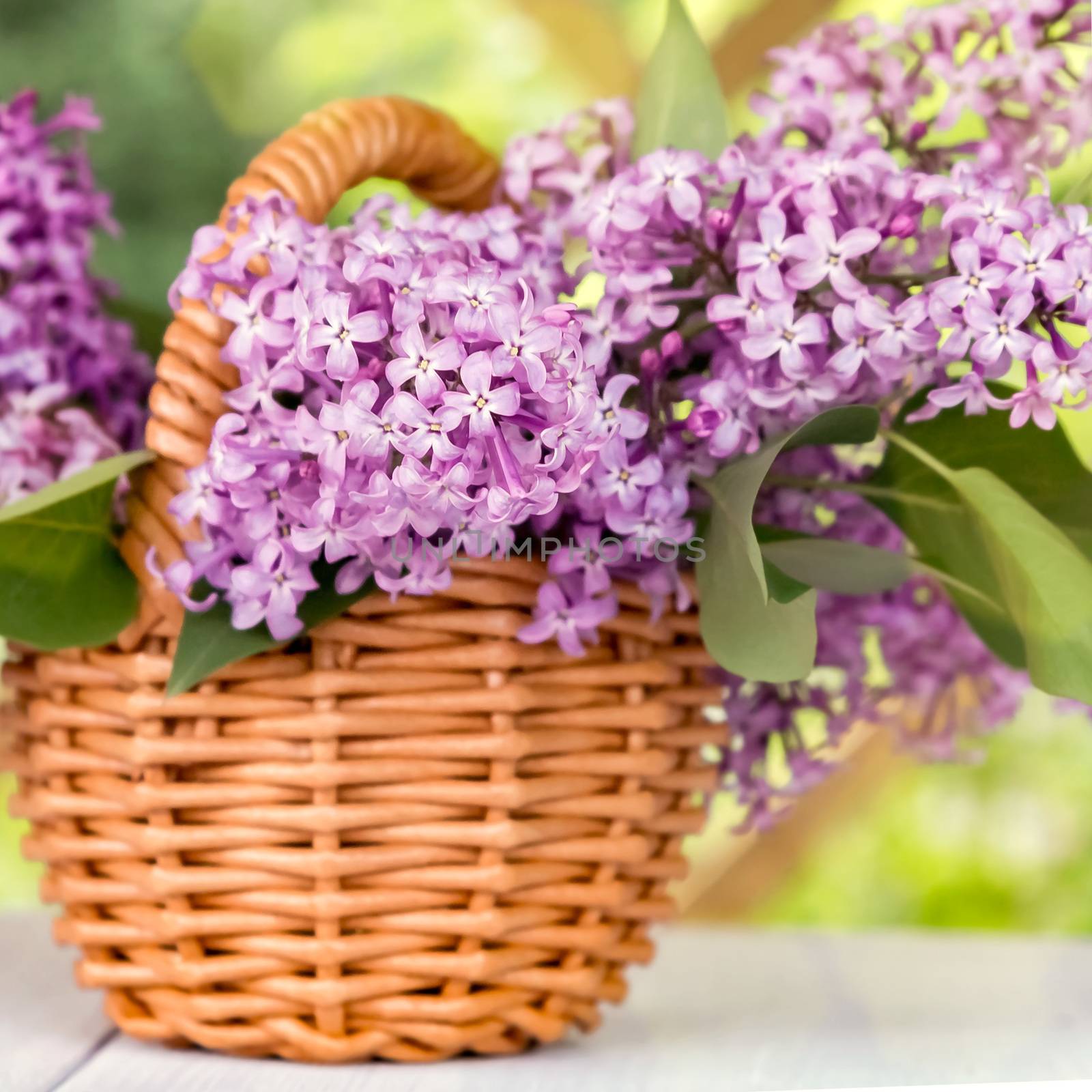 Basket with a bouquet of lilac flowers on a white wooden table in the summerhouse in the garden.