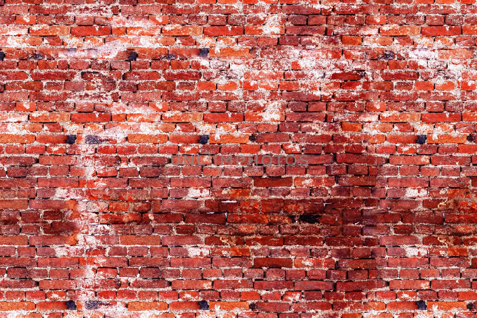 The surface of the brick from the background wall.