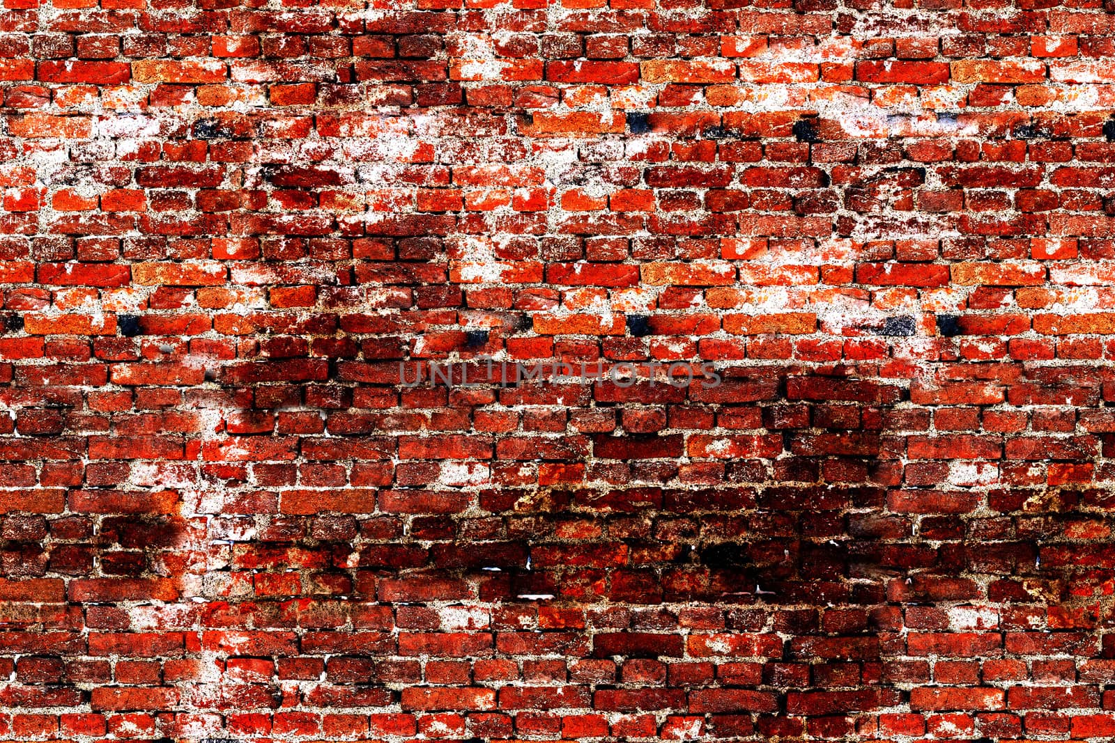 The surface of the brick from the background wall.