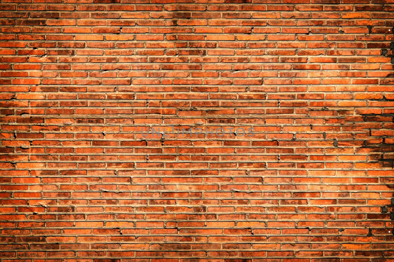 The surface of the brick from the background wall.