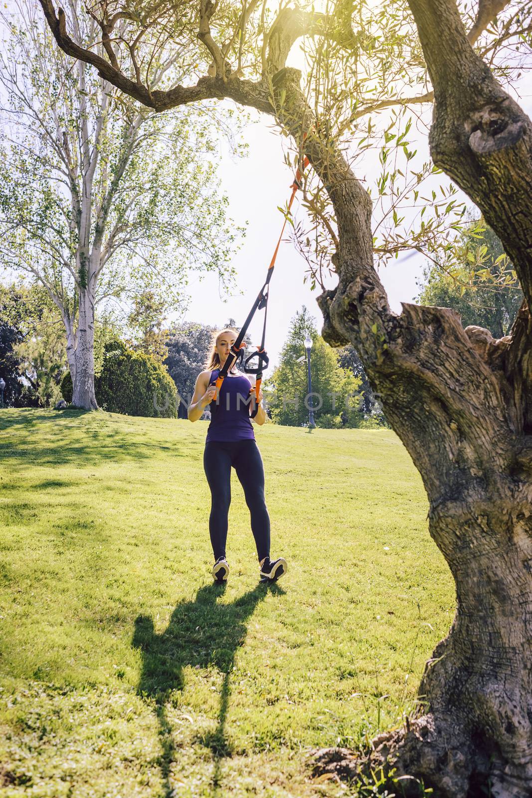 vertical photo of a beautiful young woman training outdoors under a tree, fitness girl workout with suspension equipment at the morning in a sunny park