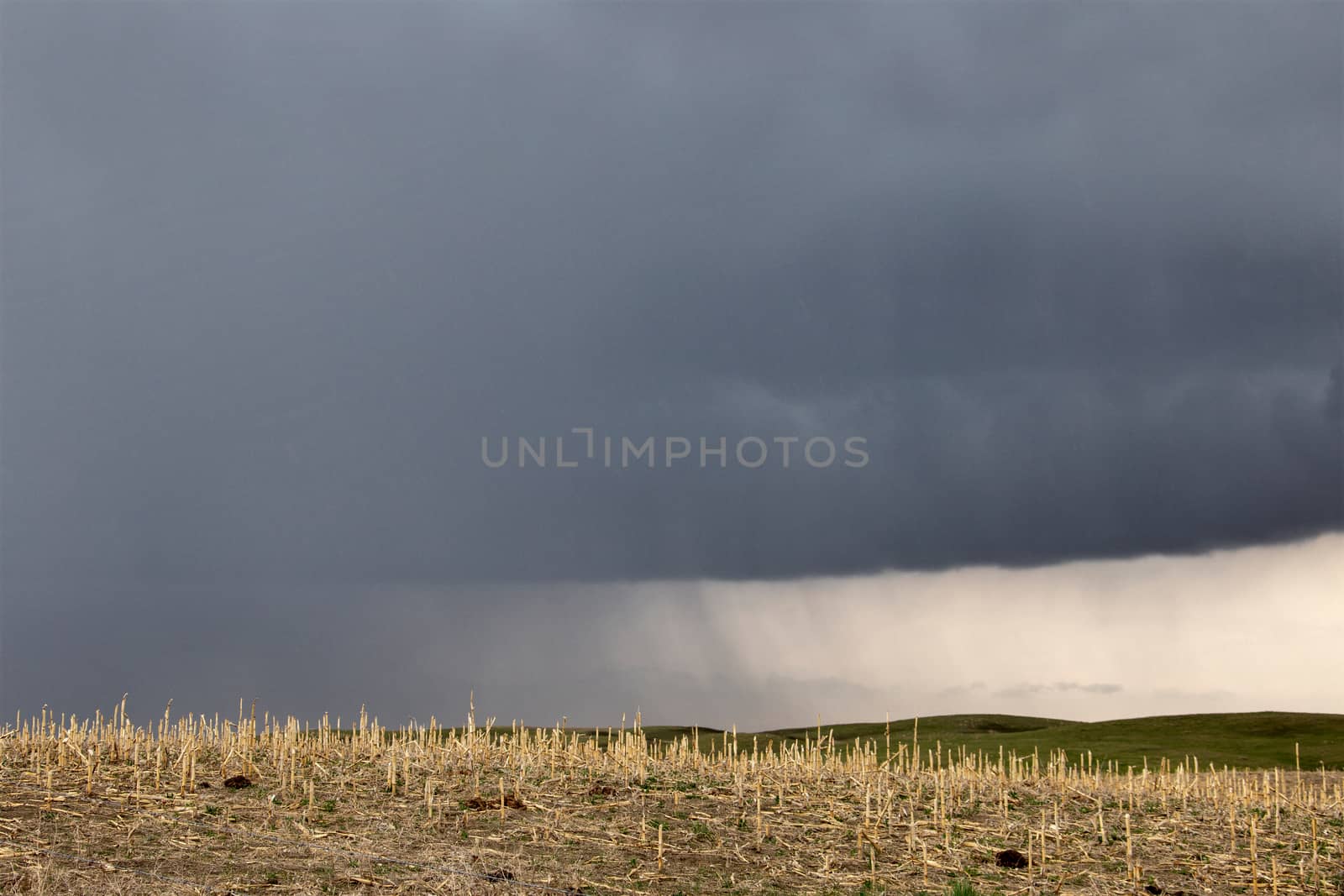 Prairie Storm Clouds in Saskatchewan Canada Rural