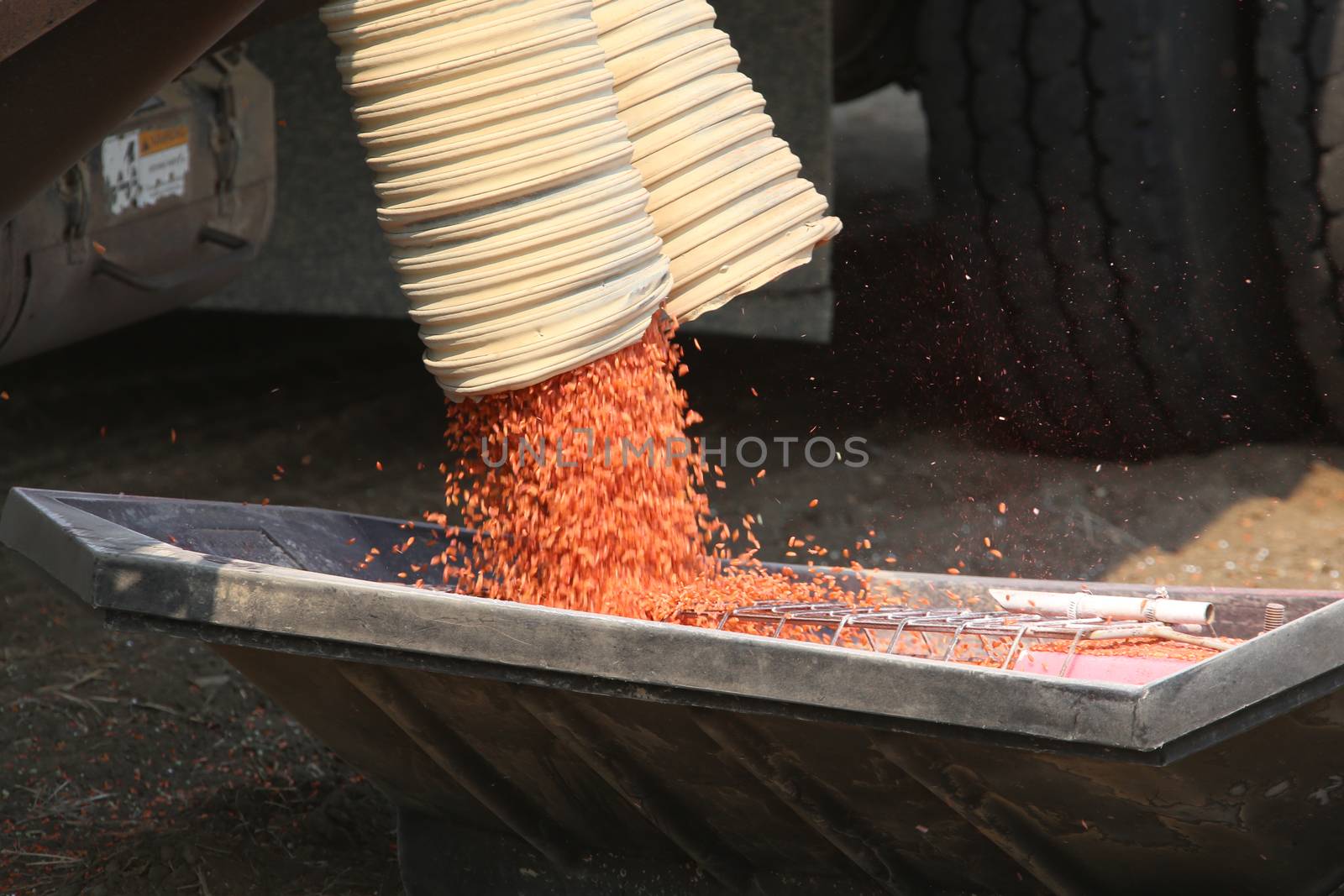 Seeding in Saskatchewan drought conditions Agriculture Canada
