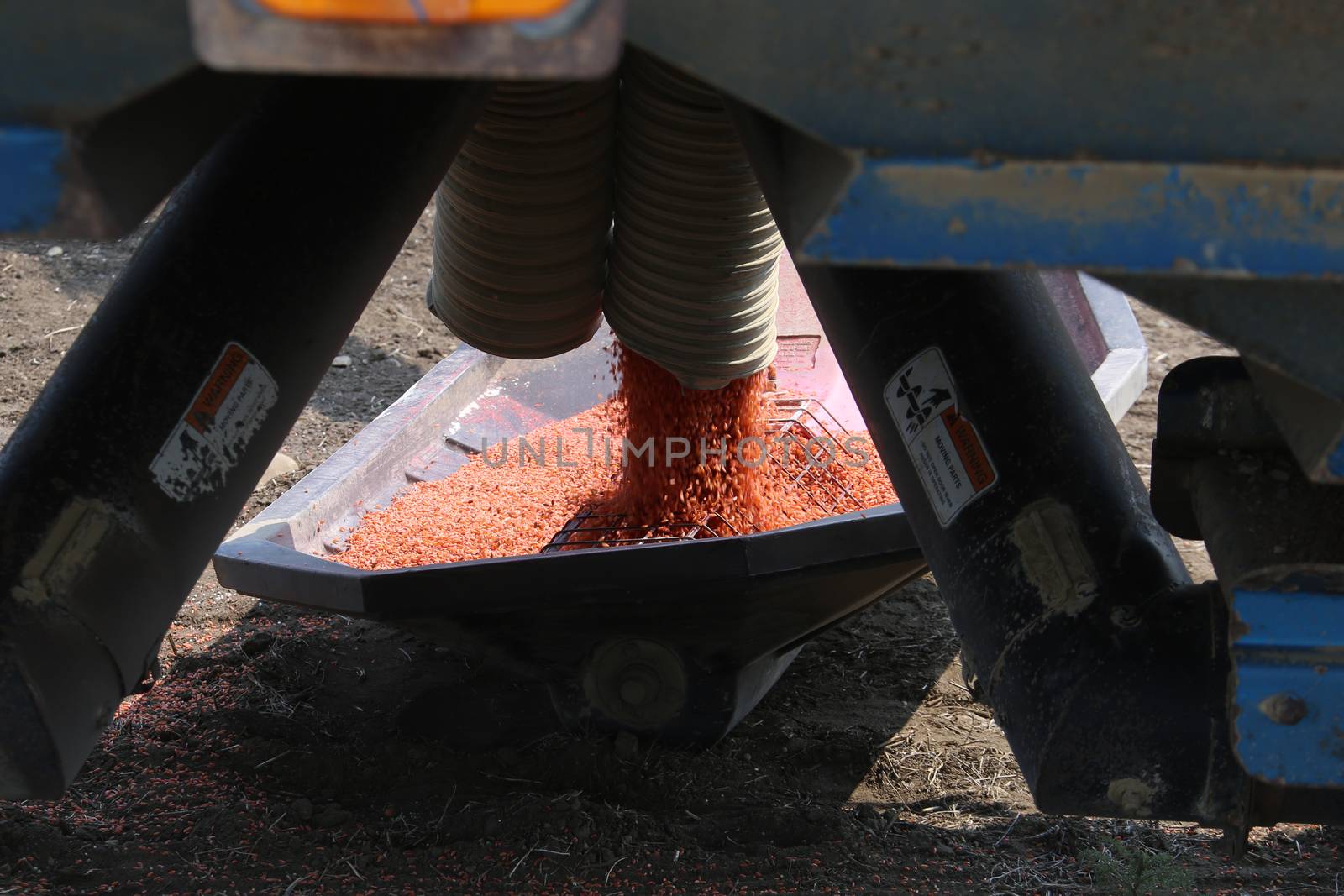 Seeding in Saskatchewan drought conditions Agriculture Canada