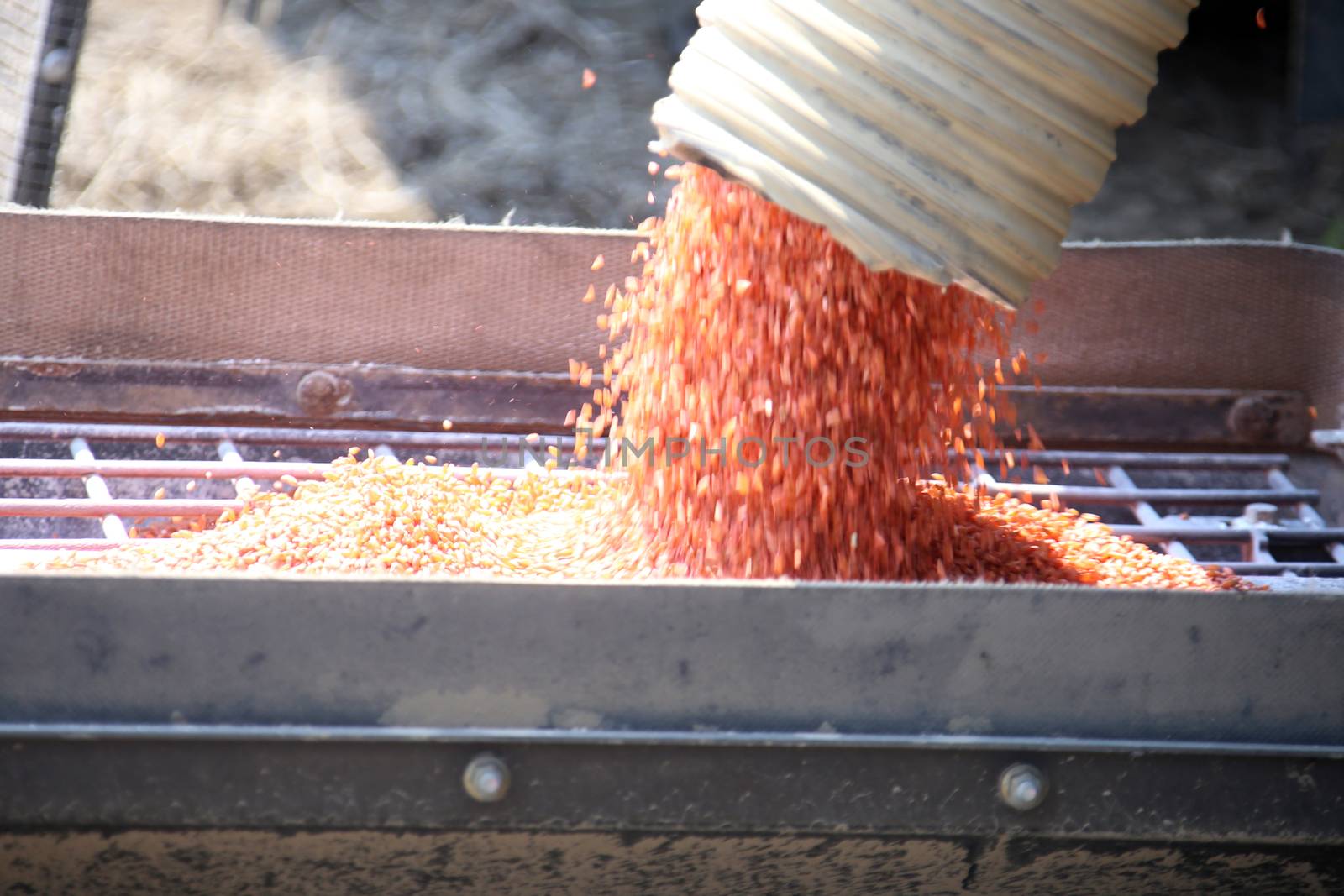 Seeding in Saskatchewan drought conditions Agriculture Canada