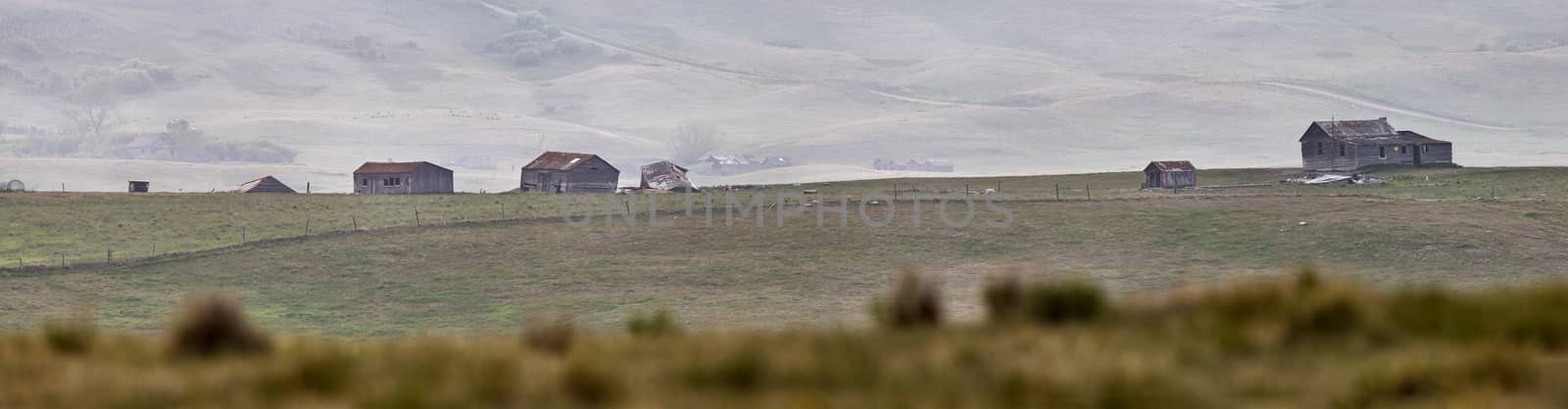 Panoramic Prairie View by pictureguy