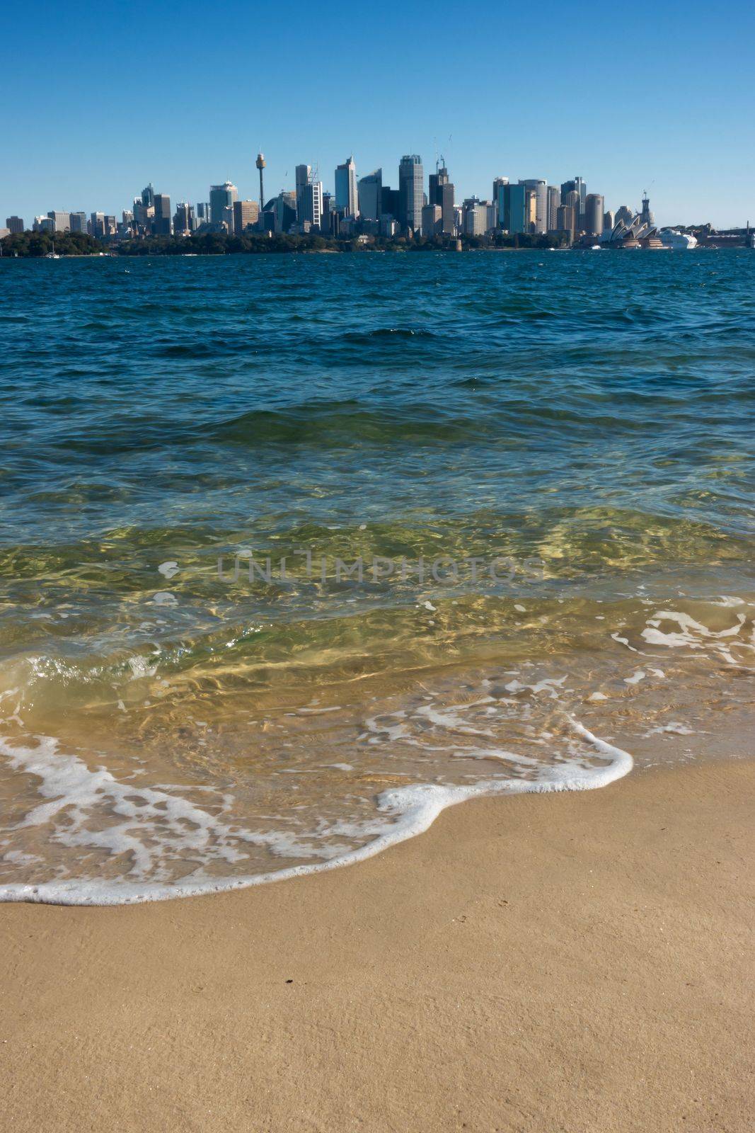 view of  Sydney CBD  from Taronga zoo