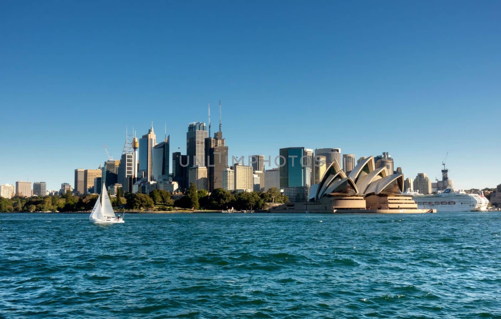 view of  Sydney CBD  from ferry boat