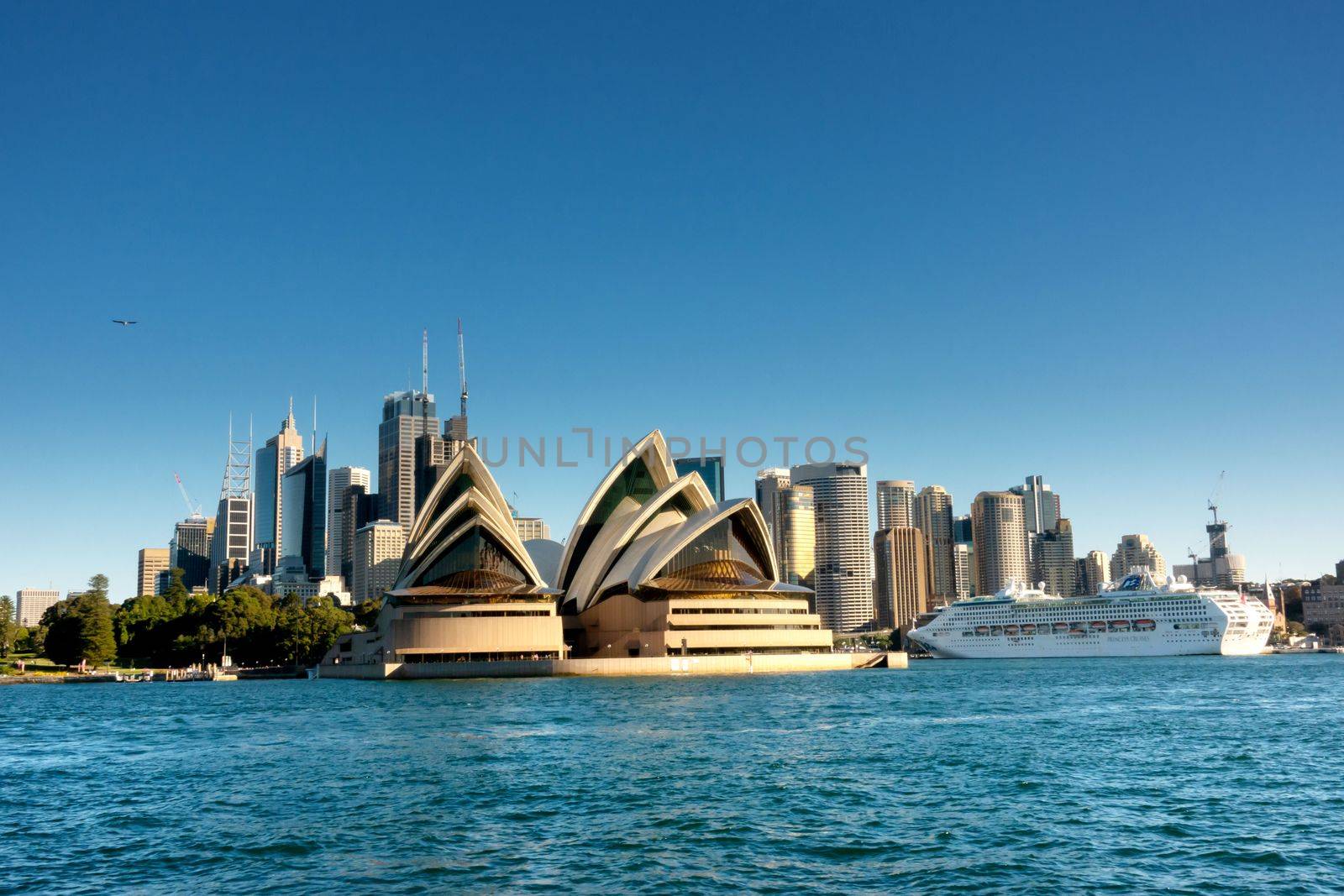 view of  Sydney CBD  from ferry boat