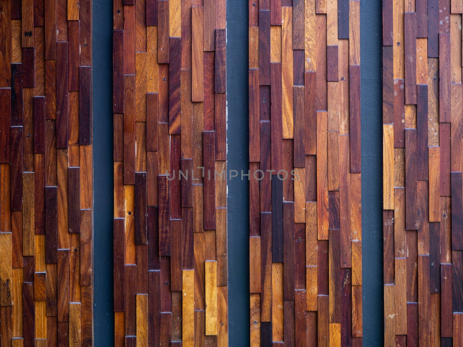 The natural interior with wood wall panels - Image