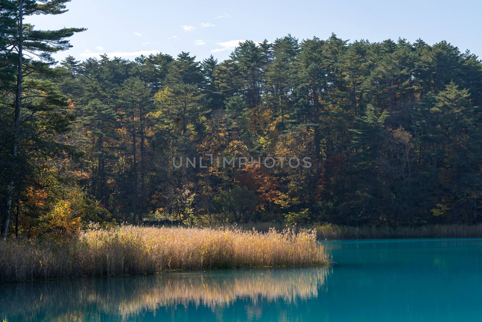 Goshiki-numa Five Colour Pond in Autumn, Urabandai, Fukushima, Japan