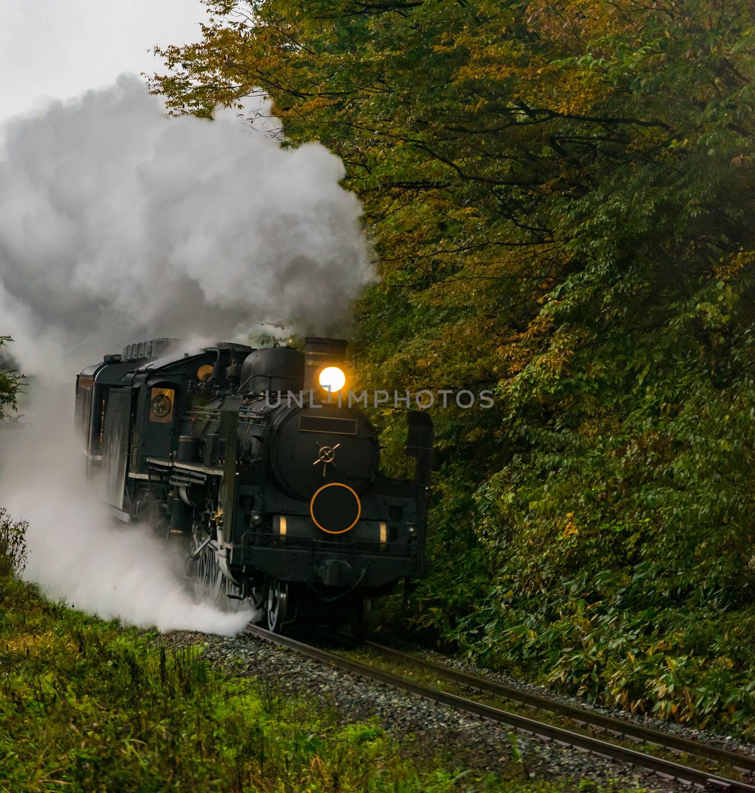 steam locomotive in autumn forest at Fukushima Japan