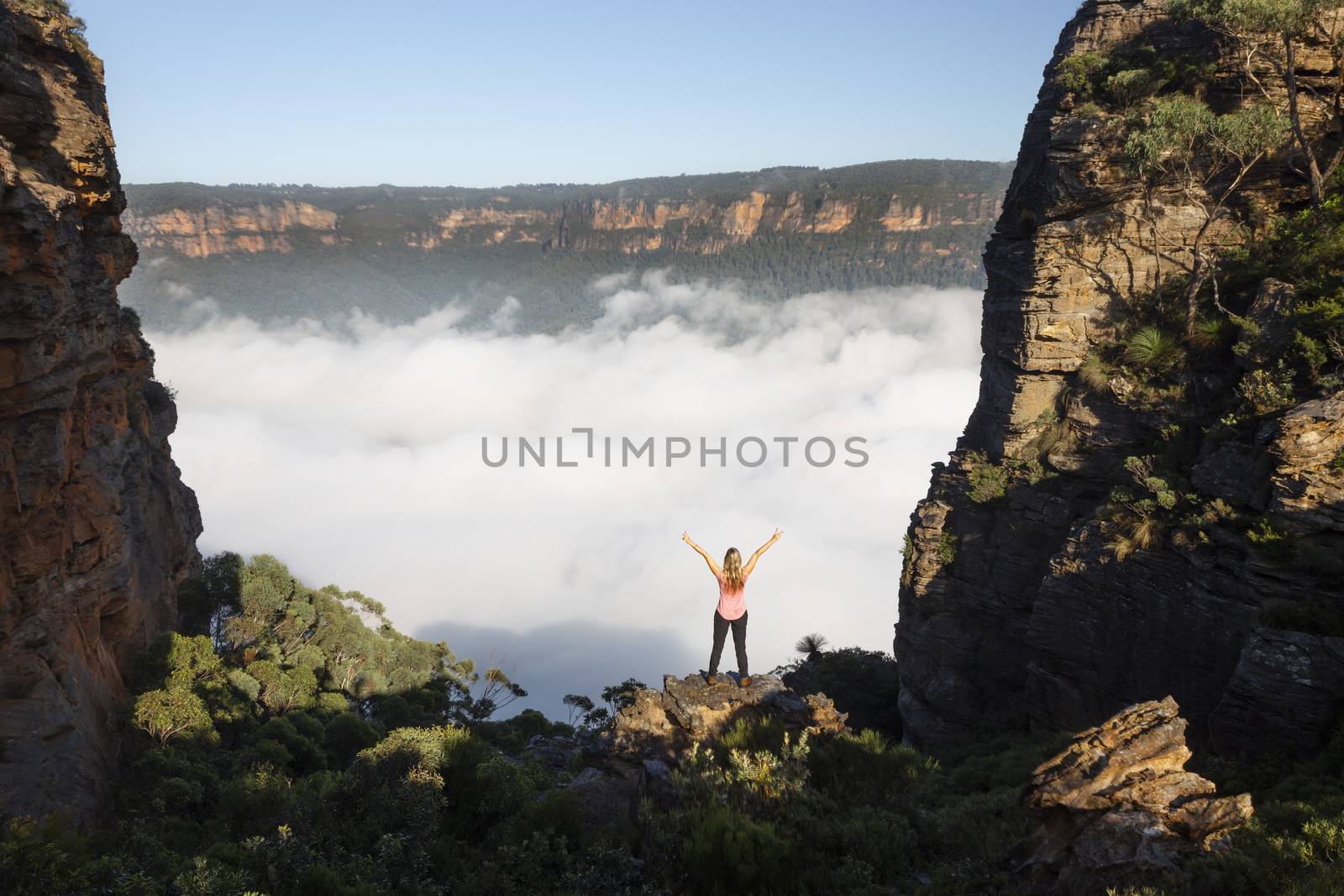 Female hiker feelings of exhilaration and awe stainding on a rocky precipice in a narrow gully of sheer cliffs and deep valleys filled with fog in Blue Mountains Australia