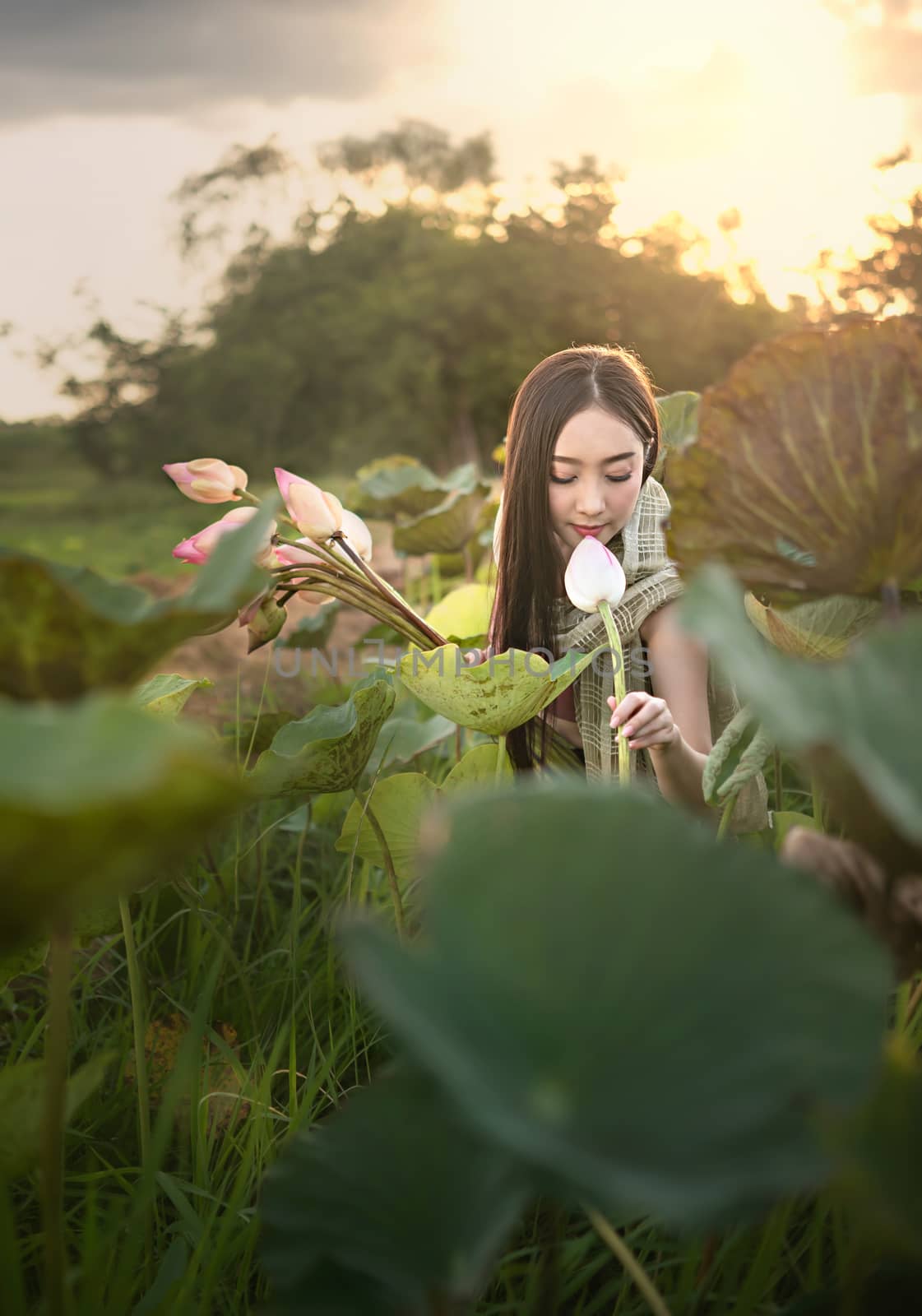 woman harvesting water lilies by rakratchada