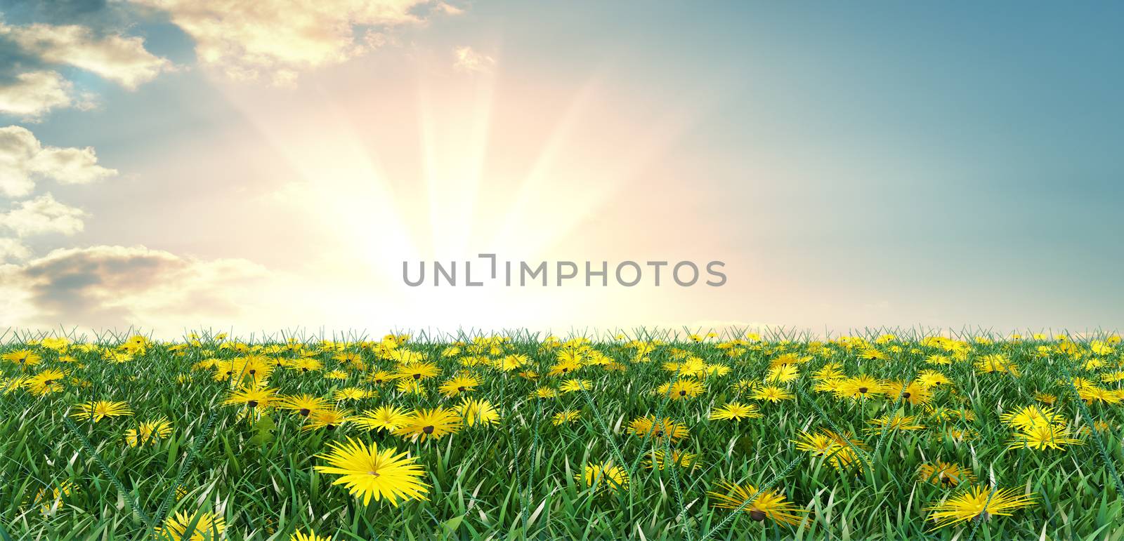 Summer meadow on bright sunny day. 3D illustration