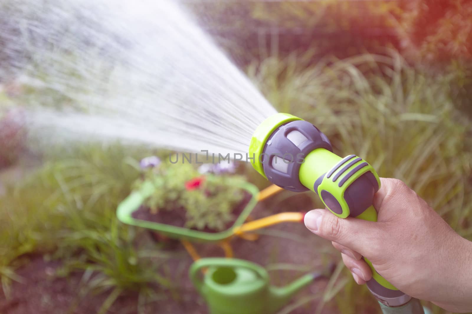 Closeup of Garden Hand Shower Water Sprayer 