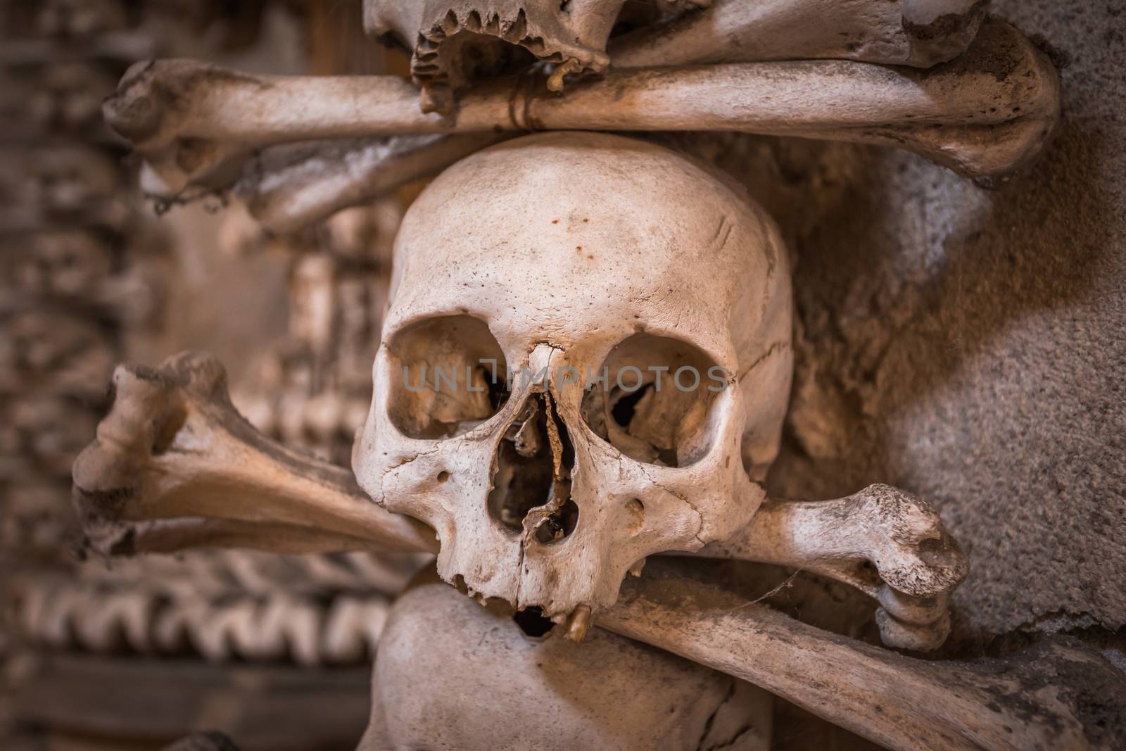 Skulls and bones on a wall, scary concept