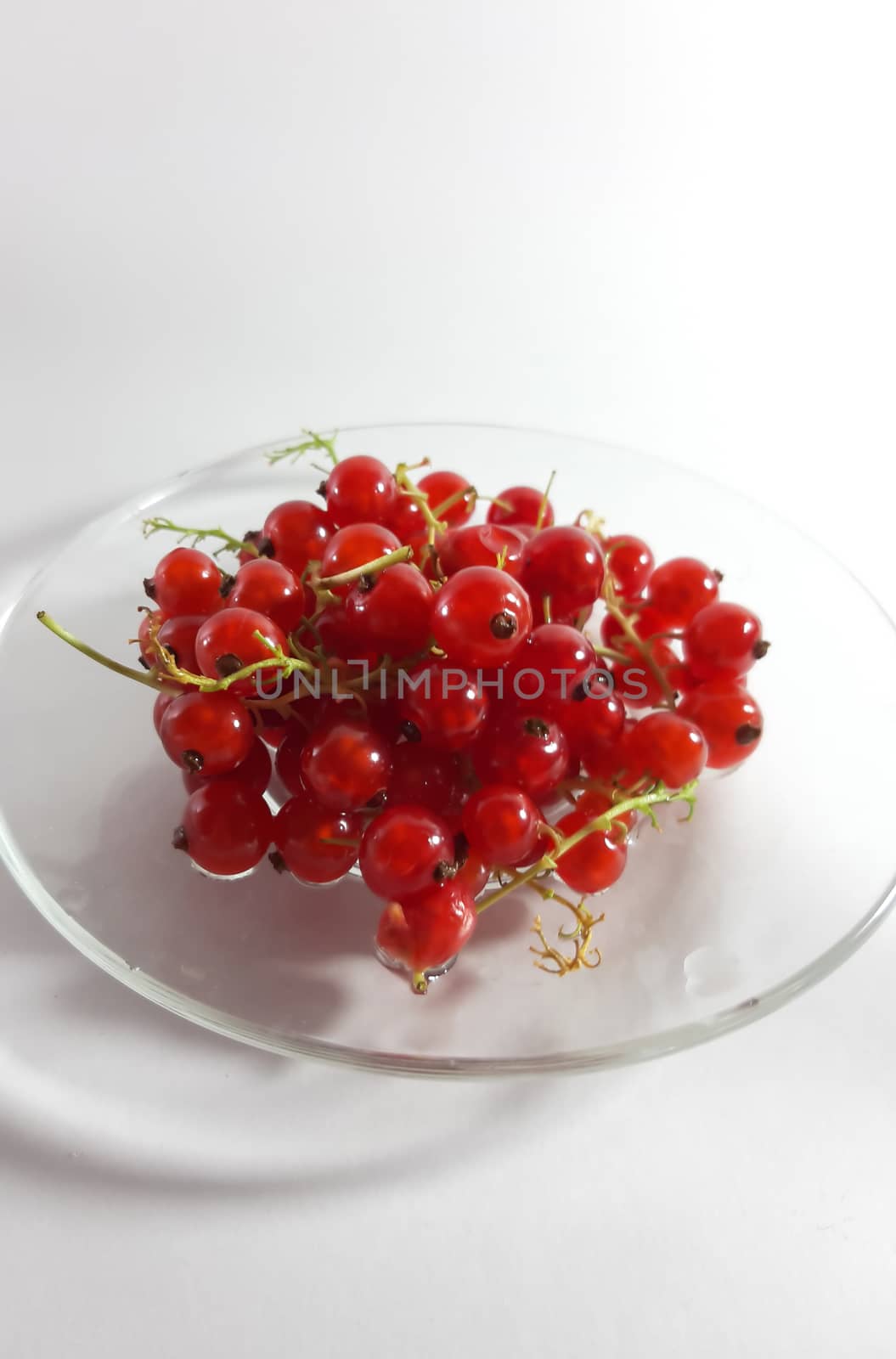 Red ripe currant. Photo of useful berries. Vegetarian food. Delicious and healthy dessert, vitamins.