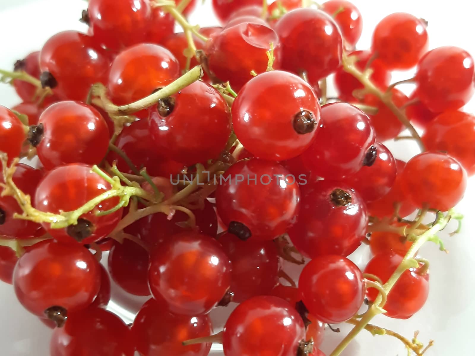 Colored fruit background. Currant close up. Photo of useful berries. Vegetarian food. Delicious and healthy dessert, vitamins.