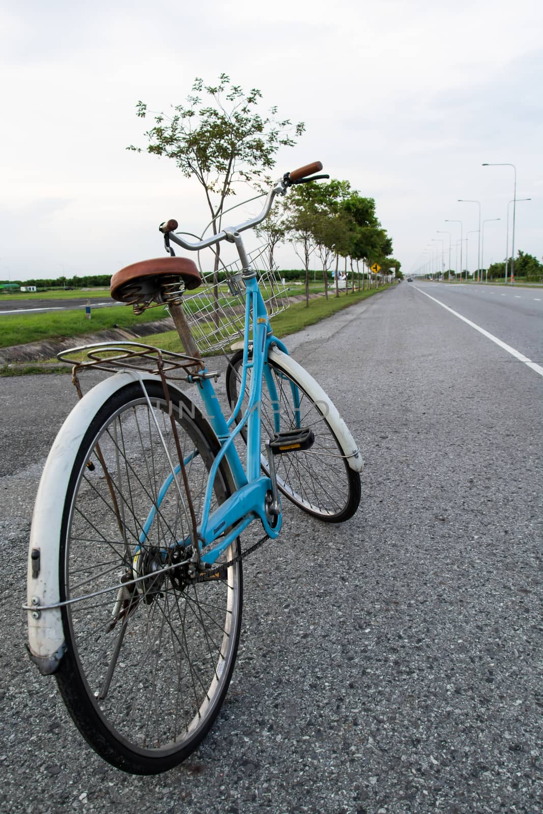 bicycle vintage on the road