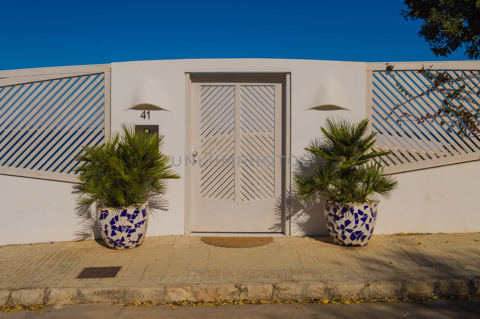 Elegant house entrance portico with natural wood double doors and potted plants