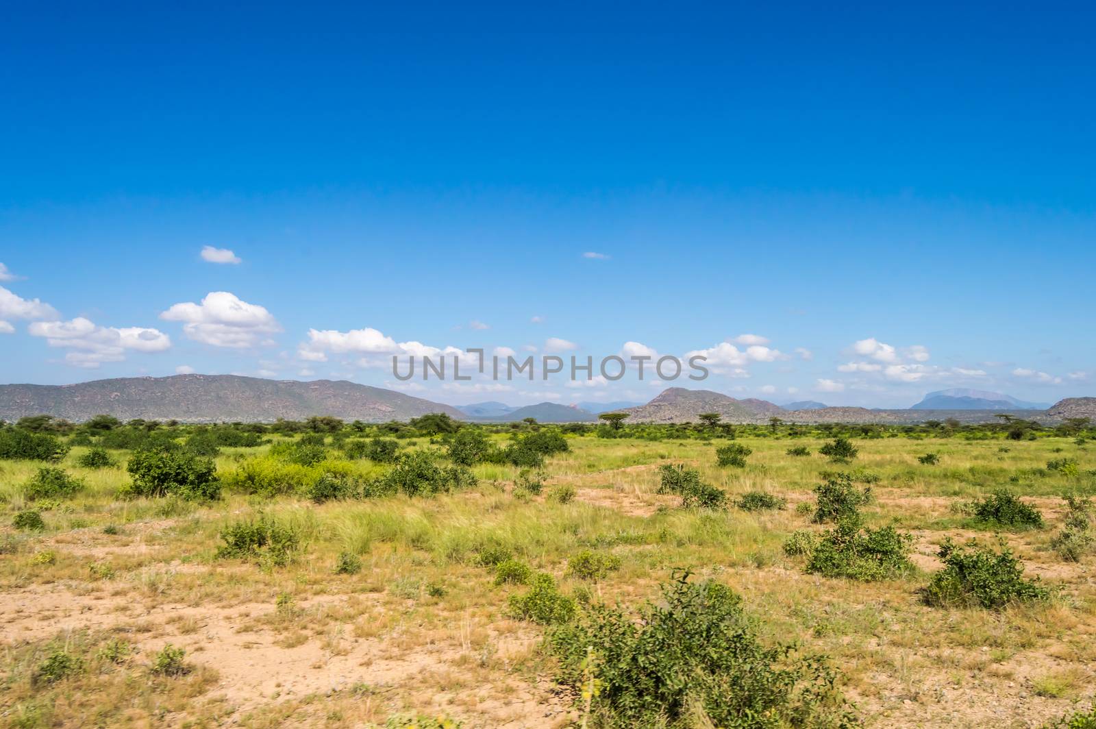 View of the trails and savannah of Samburu Park in central Kenya