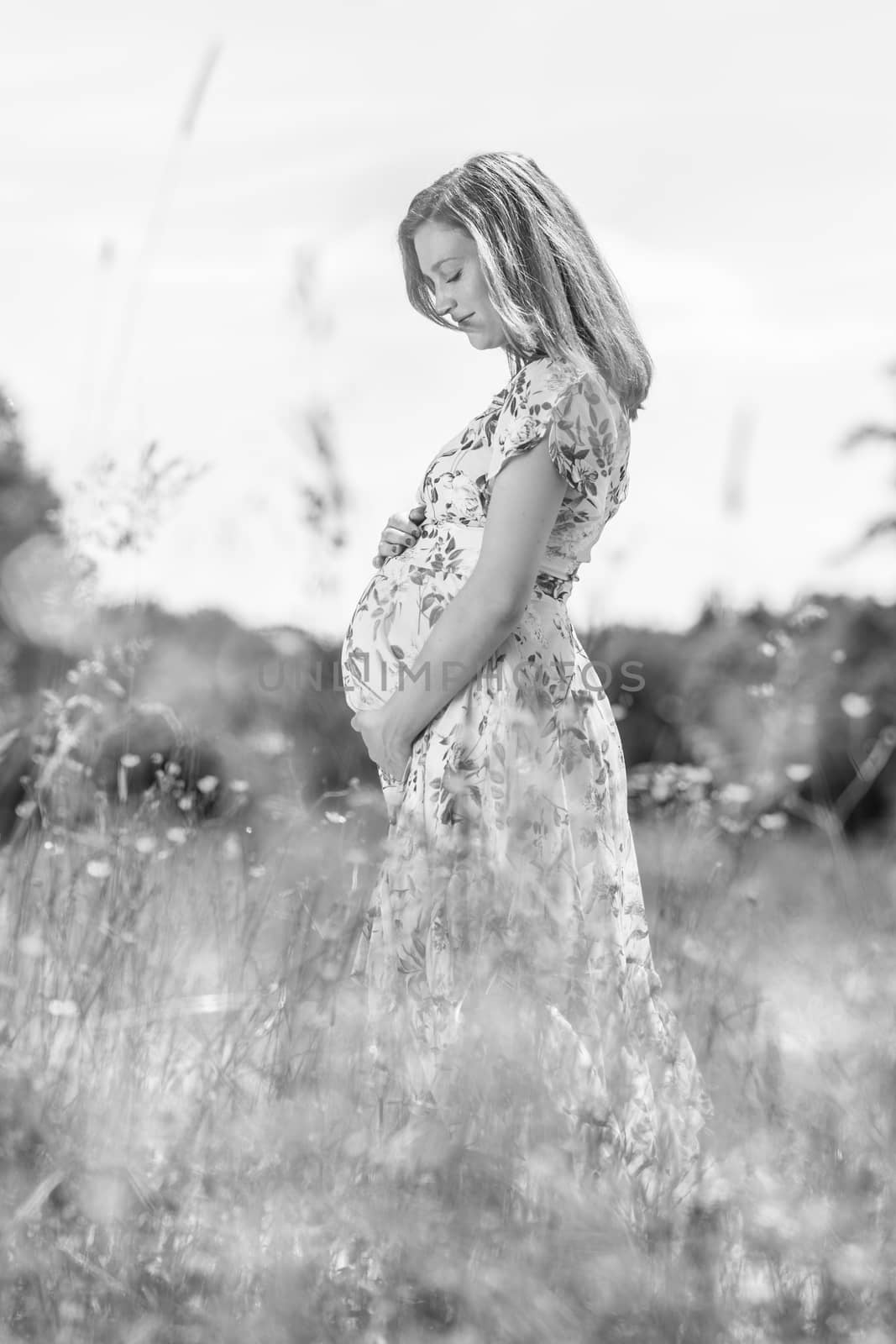 Portrait of beautiful pregnant woman in white summer dress relaxing in meadow full of yellow blooming flovers. Concept of healthy maternity care. Black and white image.
