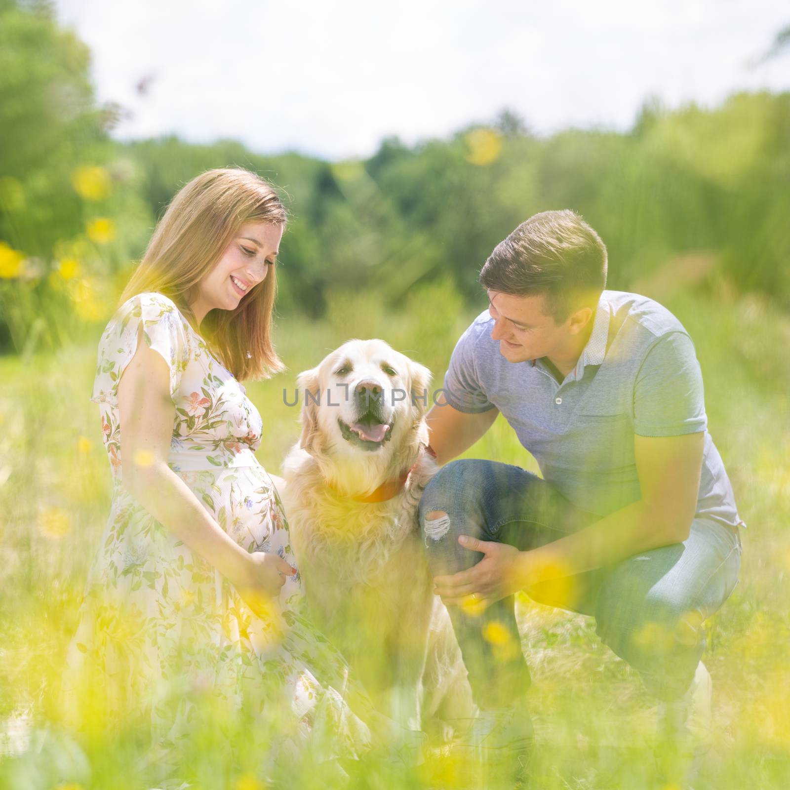 Young happy pregnant couple petting it's Golden retriever dog outdoors in nature. Concept of love, relationship, care, devotion, marriage, family creation, pregnancy, parenting