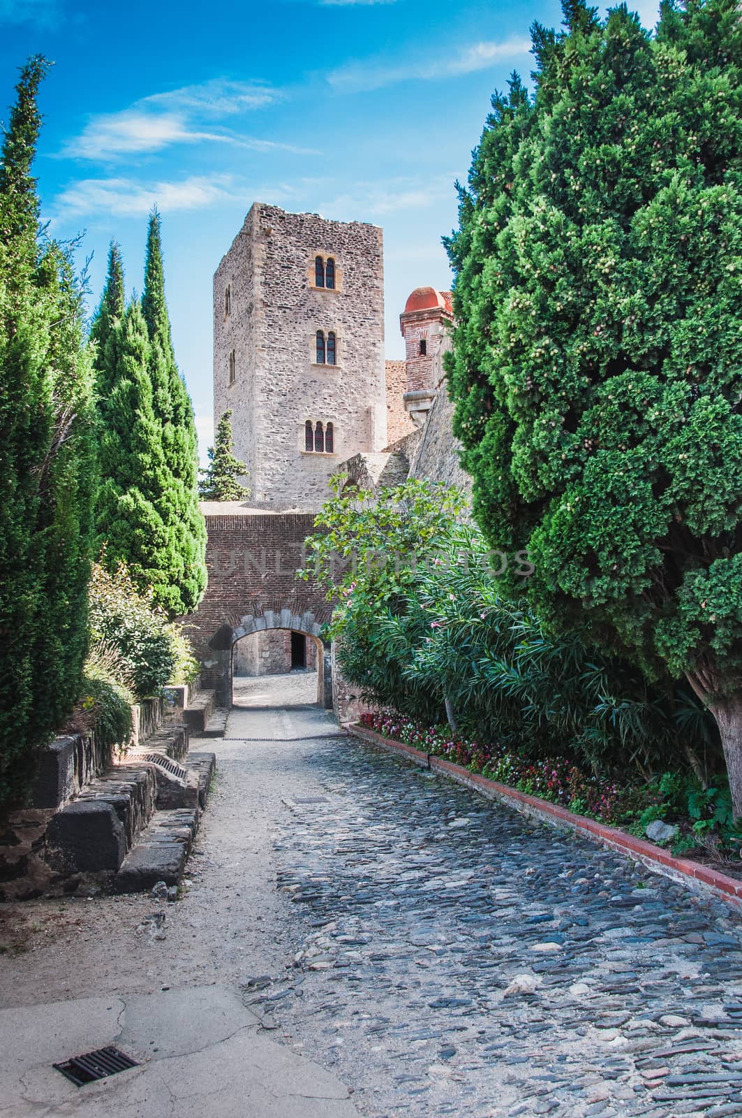 Royal Castle Collioure under blue sky in the Pyrenees-Orientales, France