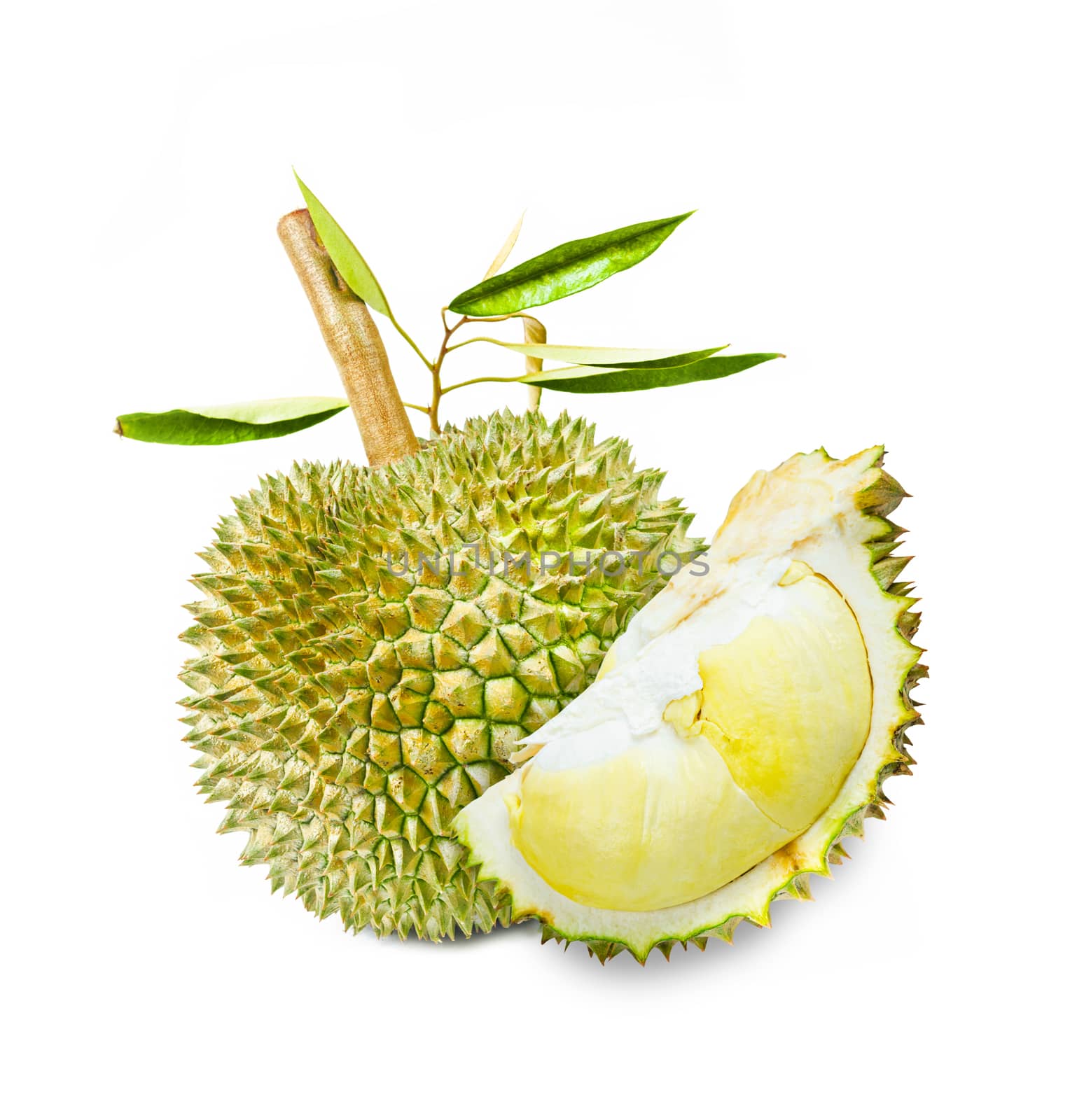 durian fruit and green leaves isolated on white background.