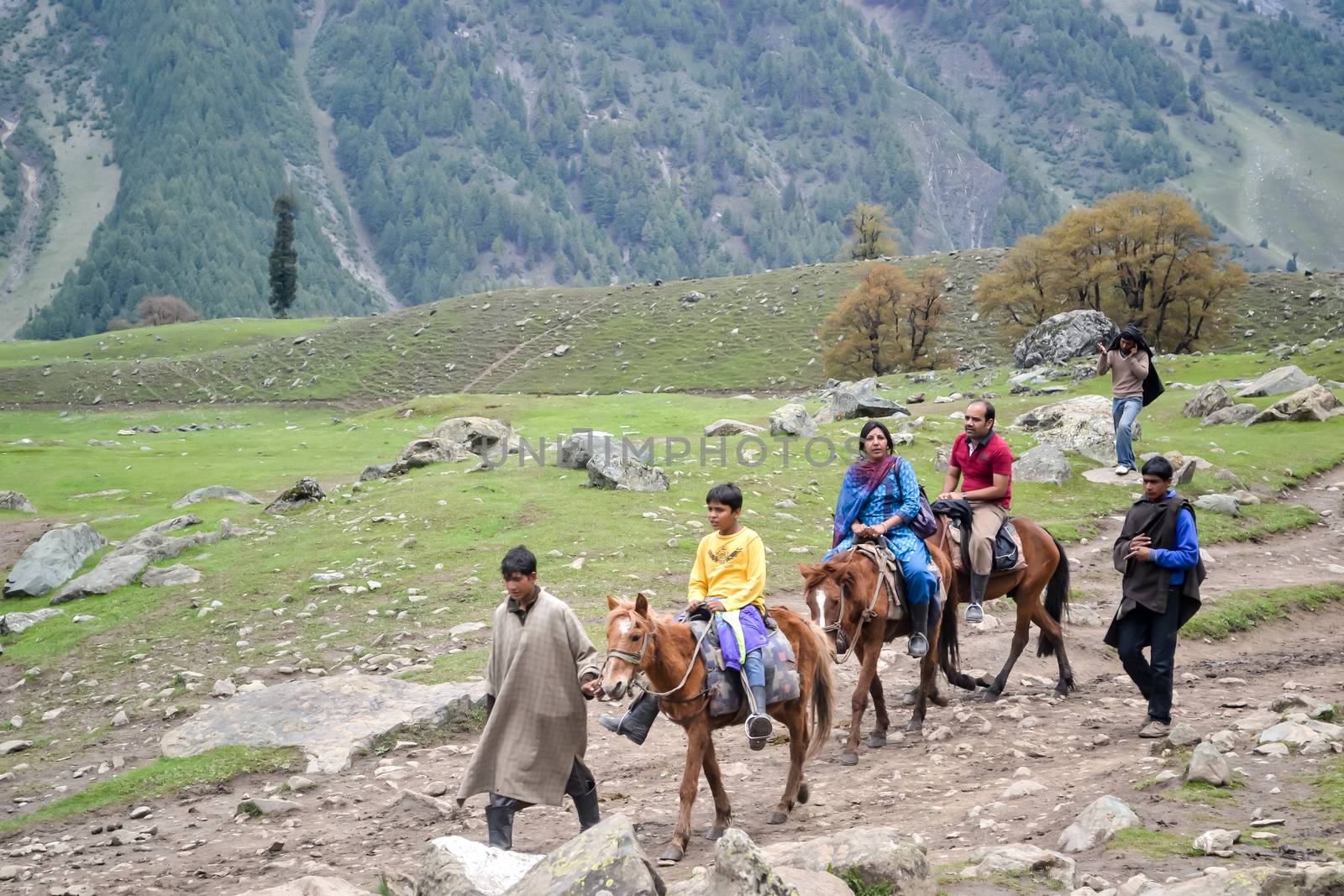 Panchchuli Himalaya, Munsiyari Uttarakhand India October 2018 - Taking a horseback riding in the Himalayan meadows with majestic Panchchuli Himalaya at a distance.