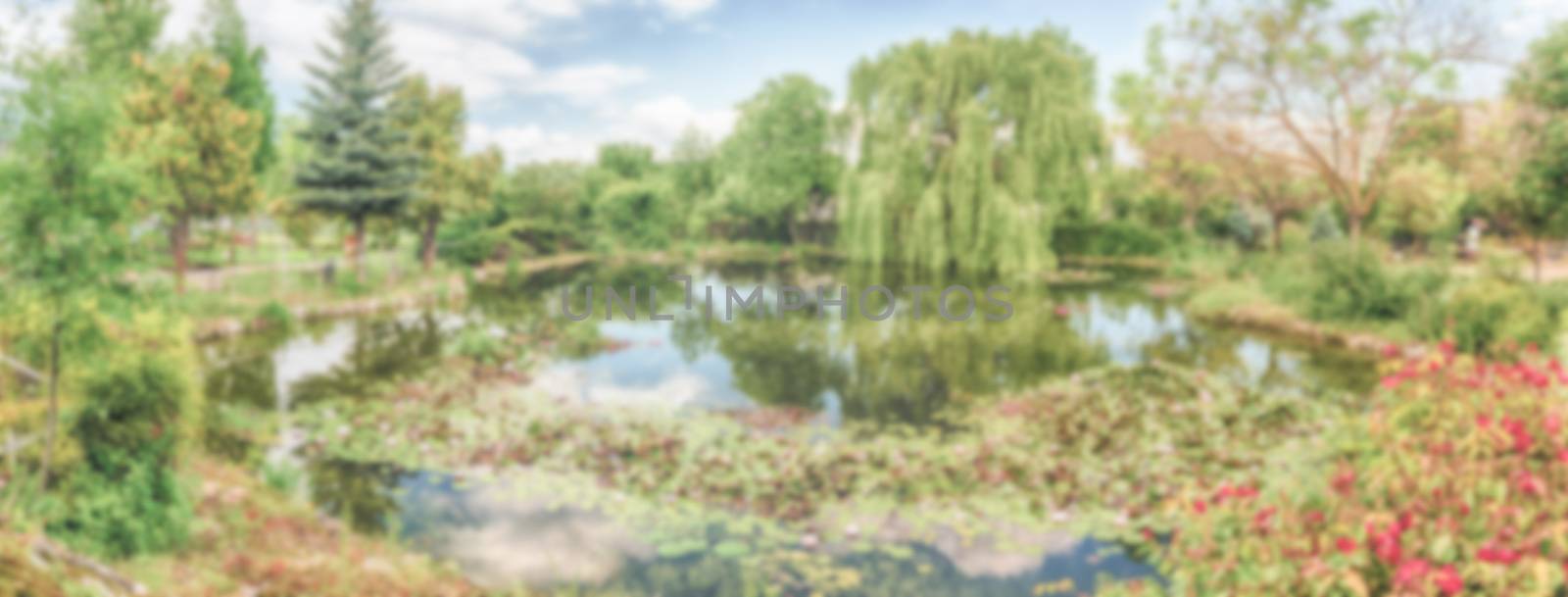 Defocused background with an idillic small pond in the forest. Intentionally blurred post production for bokeh effect