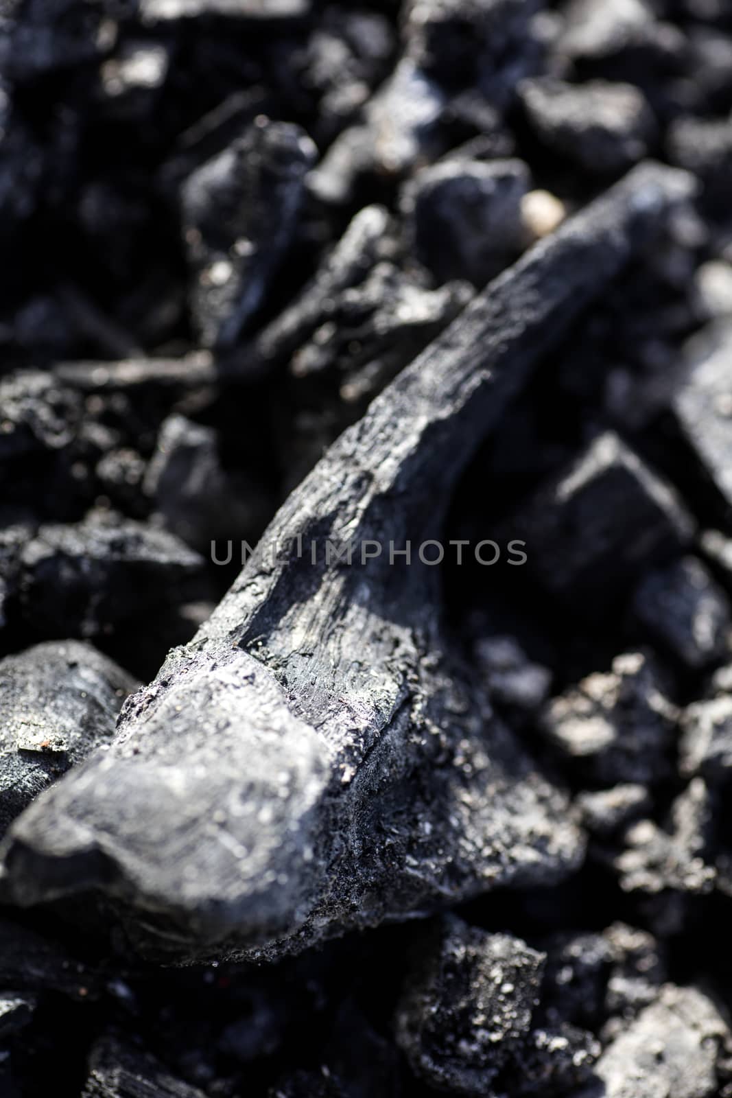 Burned wood macro abstract background wallpapers high quality prints canon.
