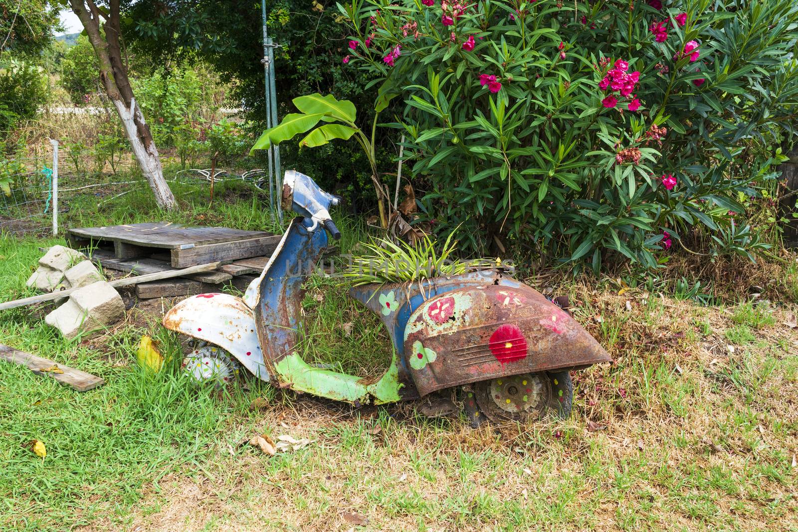 An old abandoned painted motorcycle in a garden at Corfu island by ankarb