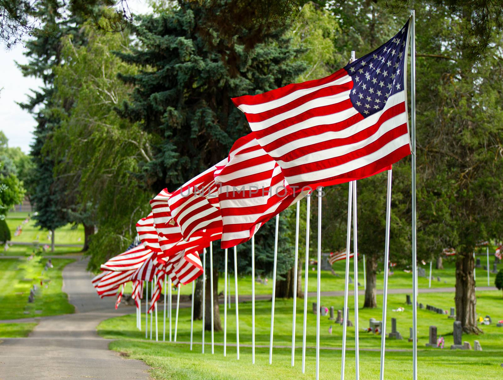 Flags waiving on a nice row by txking