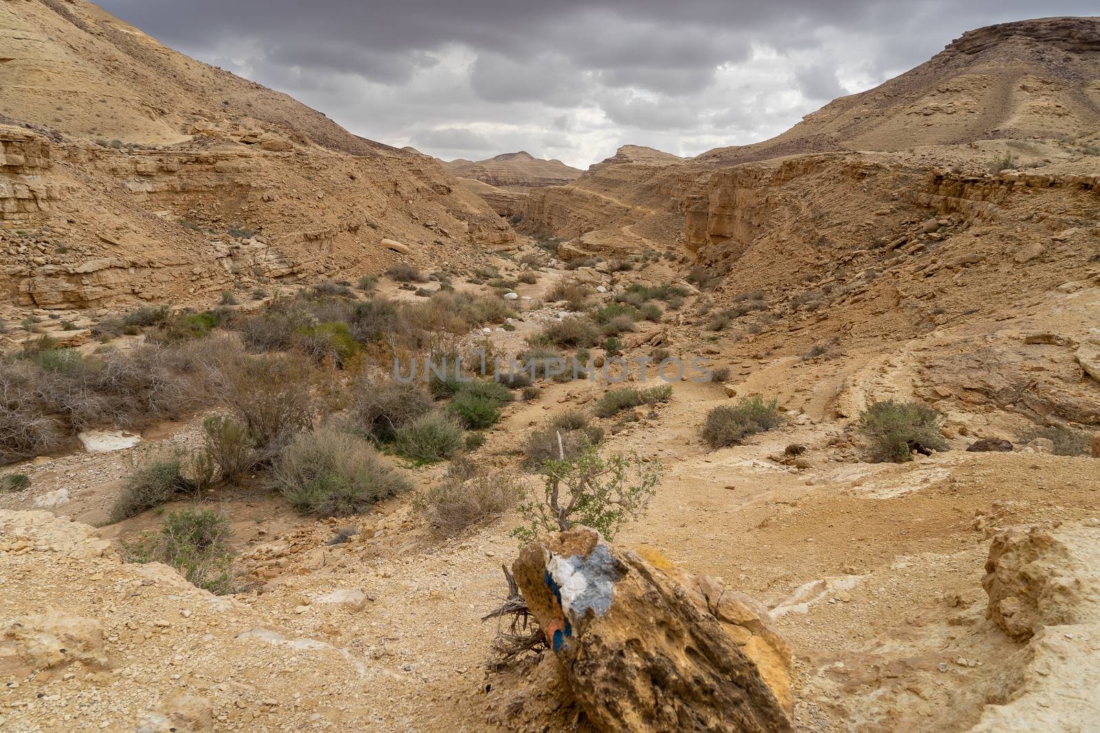 Hiking in desert for travel tourism and holiday trip