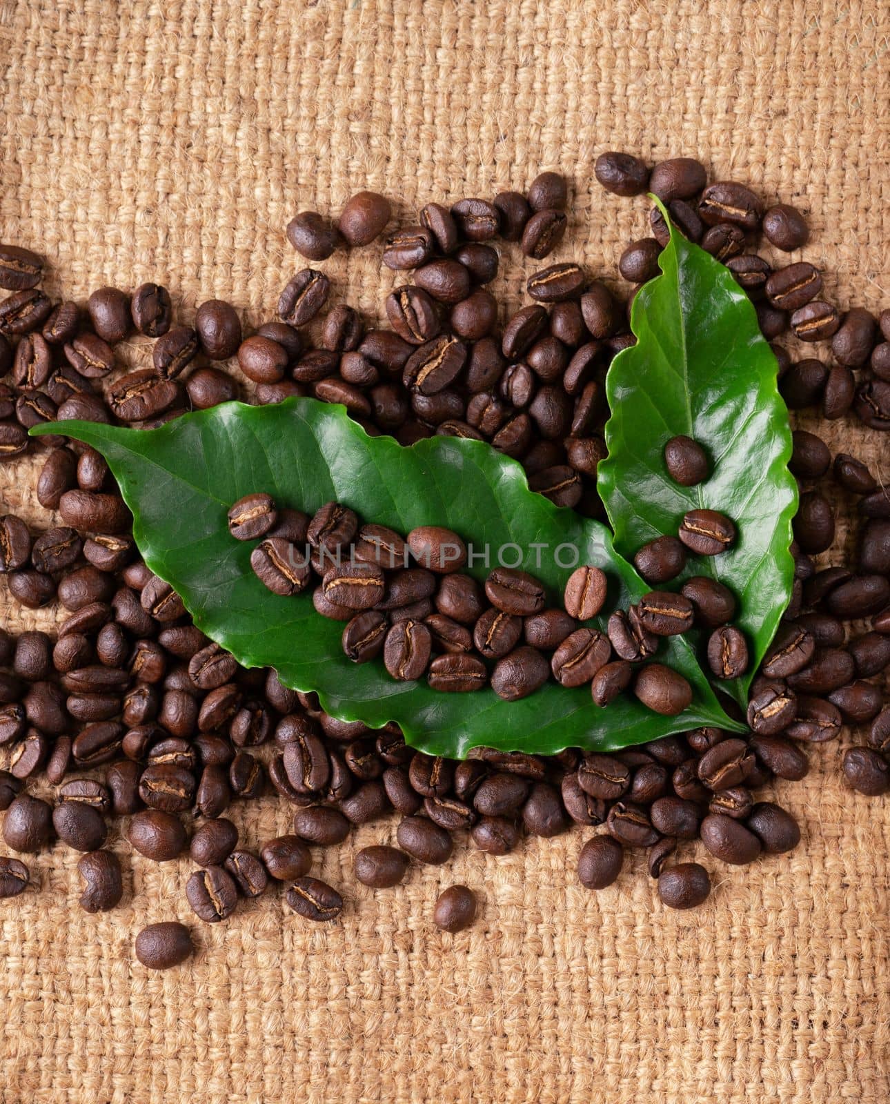 roasted coffee bean on linin sack by anankkml