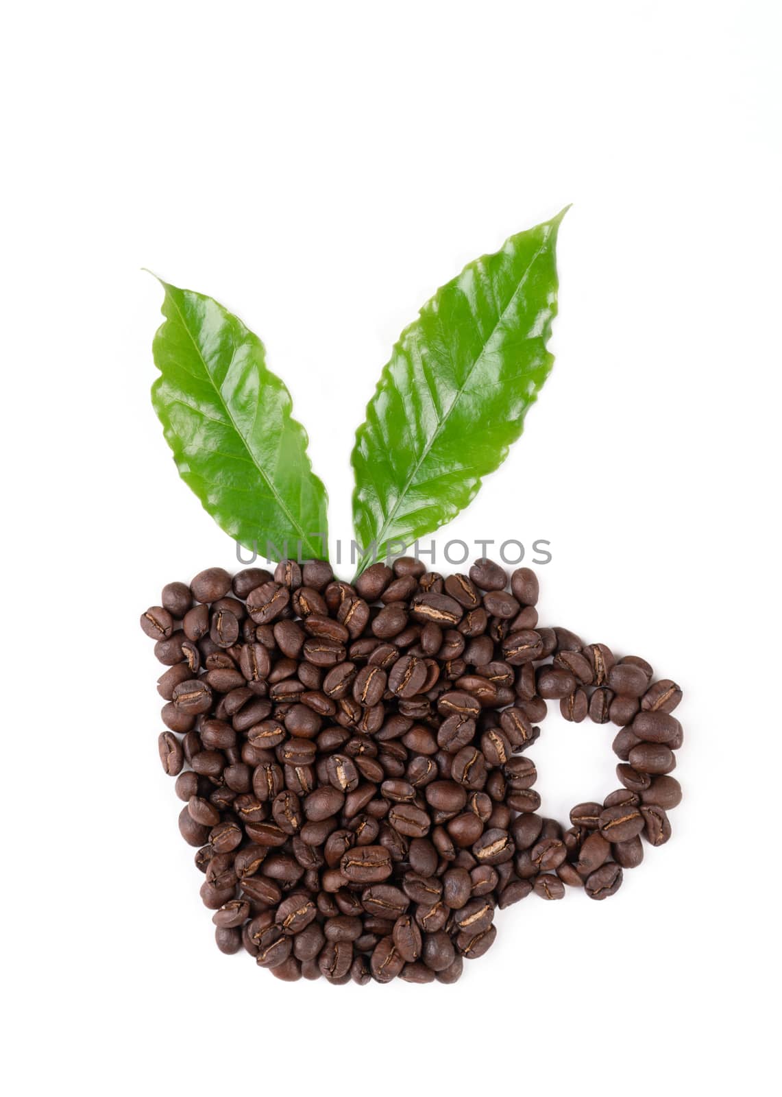 roasted coffee bean with leave isolated on white background