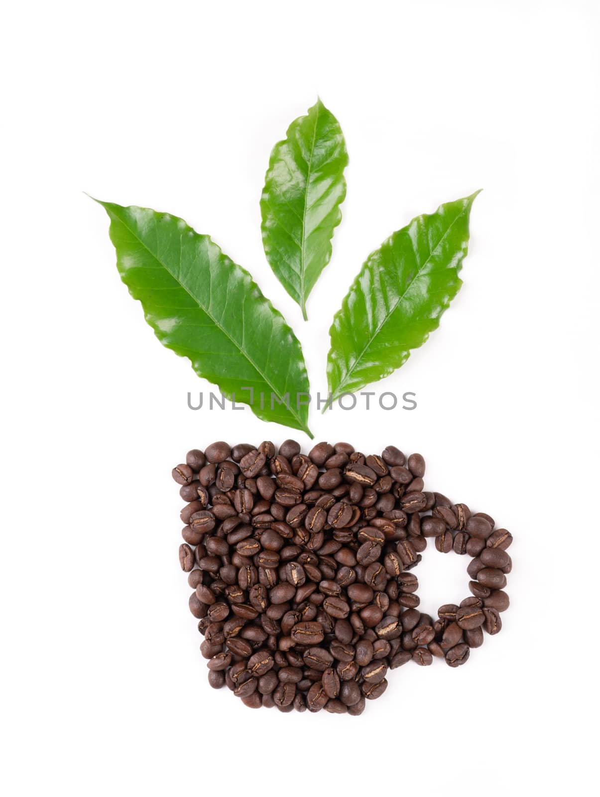 roasted coffee bean with leave isolated on white background