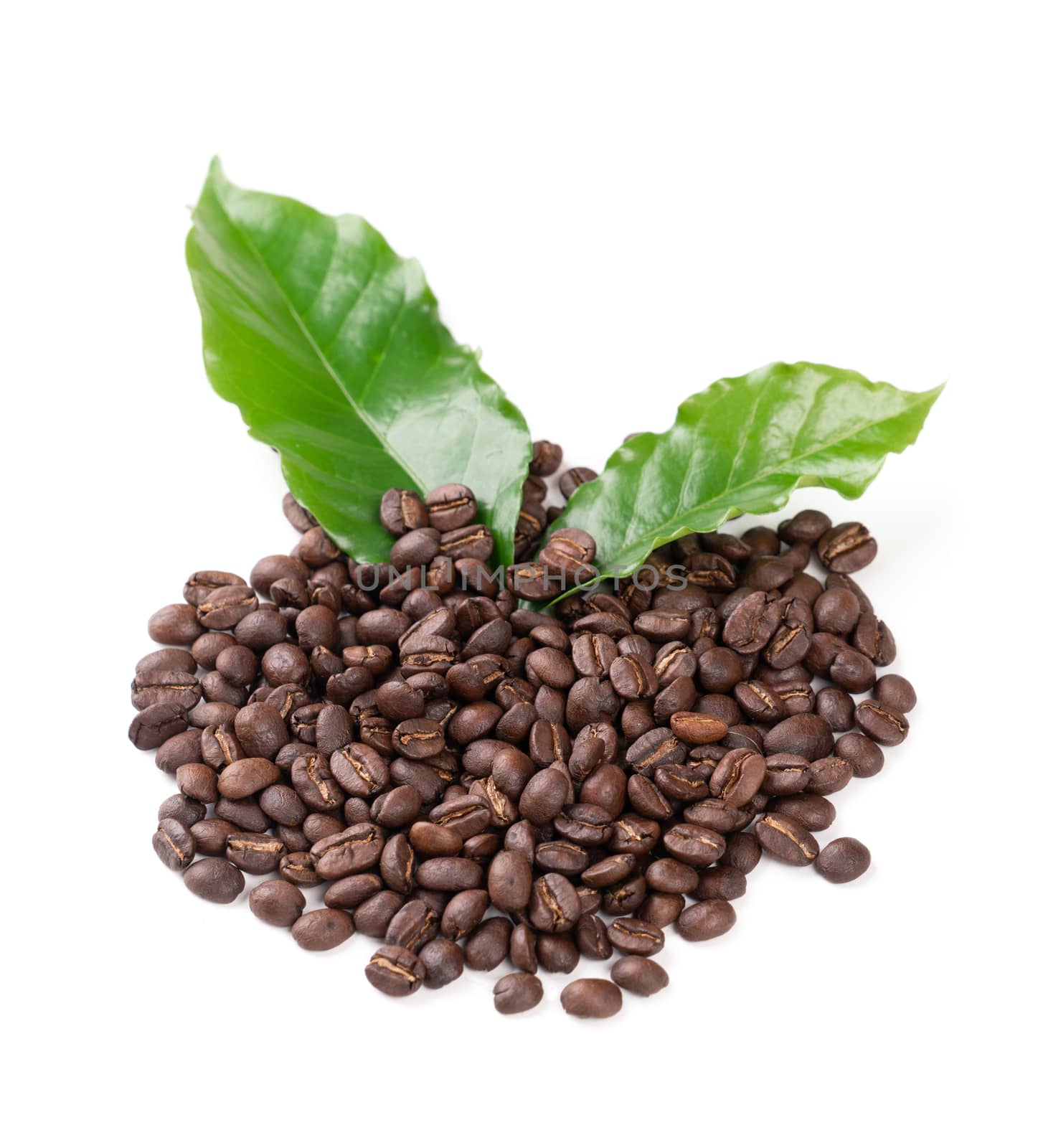 roasted coffee bean with leave isolated on white background