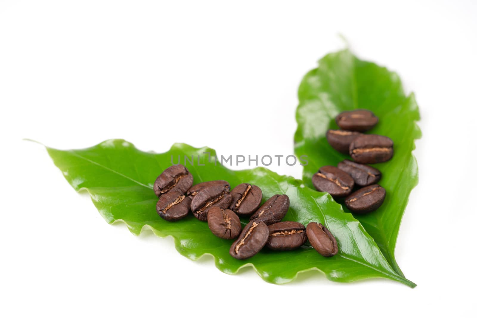 roasted coffee bean with leave isolated on white background