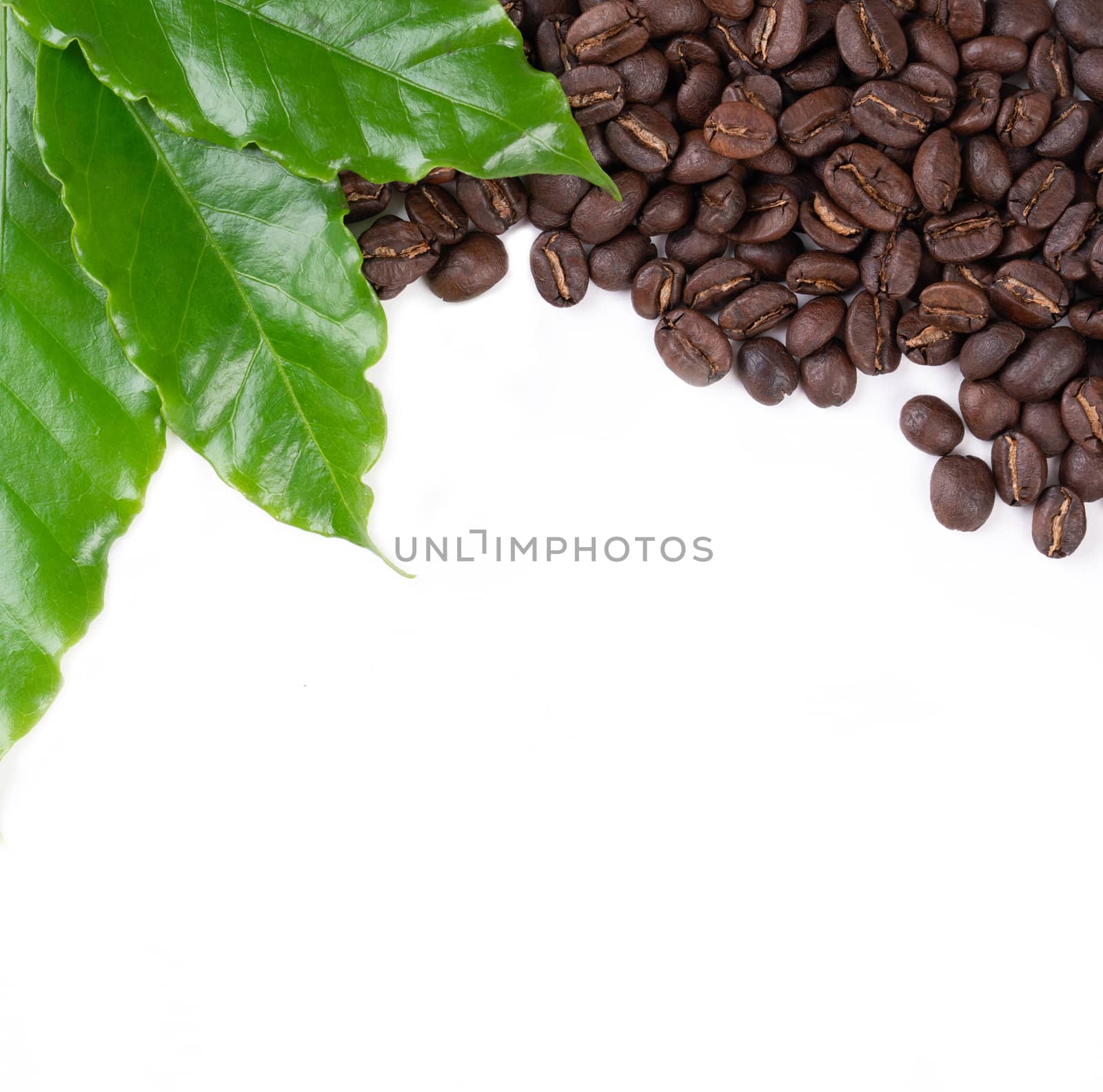 roasted coffee bean with leave isolated on white background