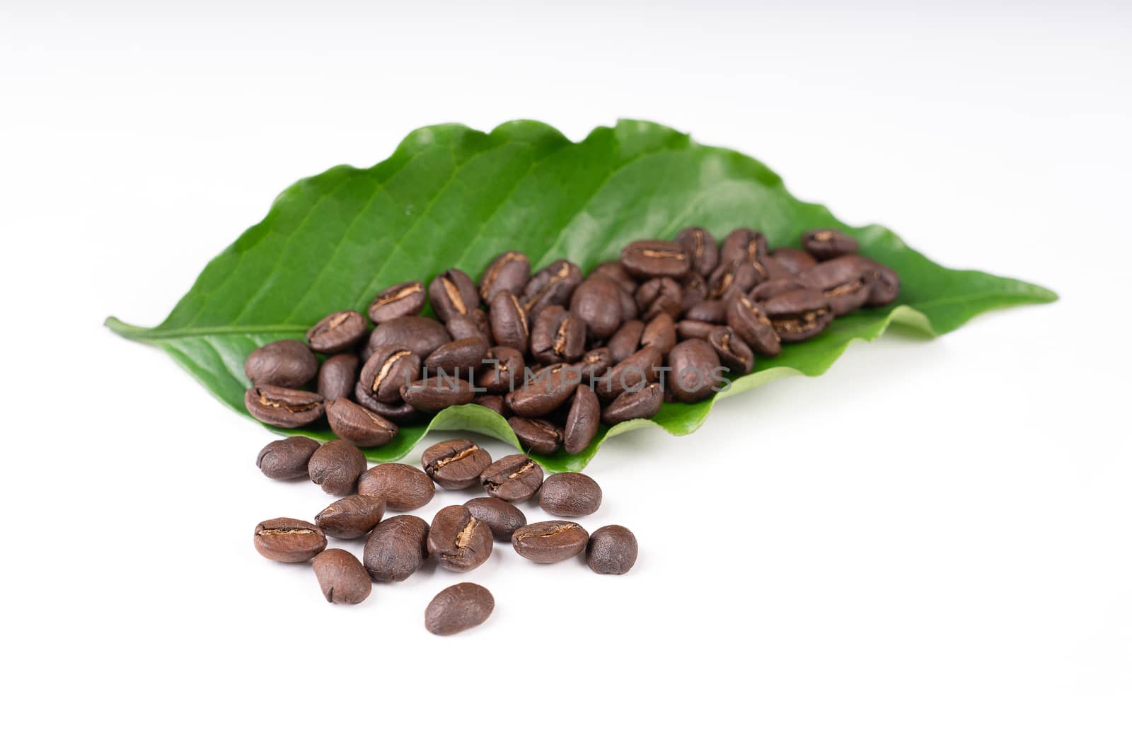 roasted coffee bean with leave on white background by anankkml