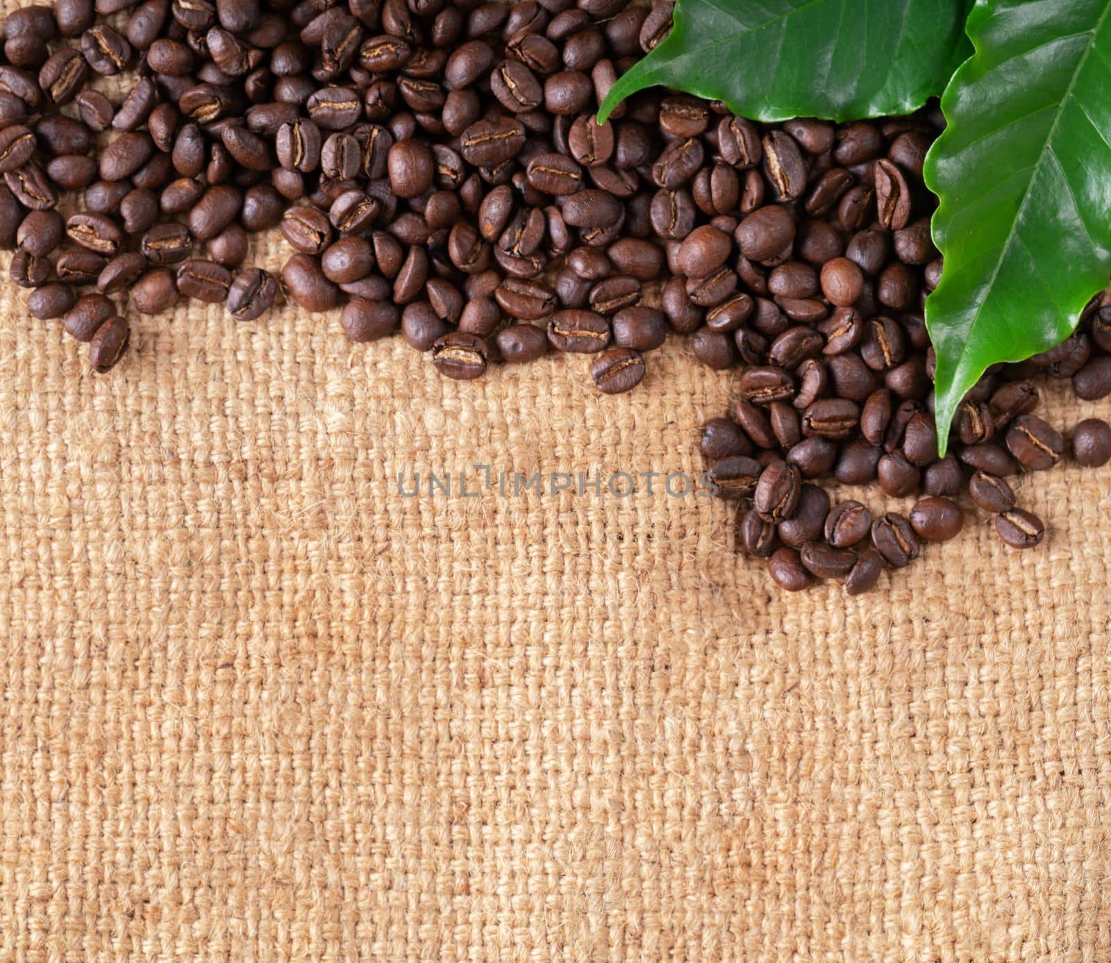 roasted coffee bean with leave on linin sack