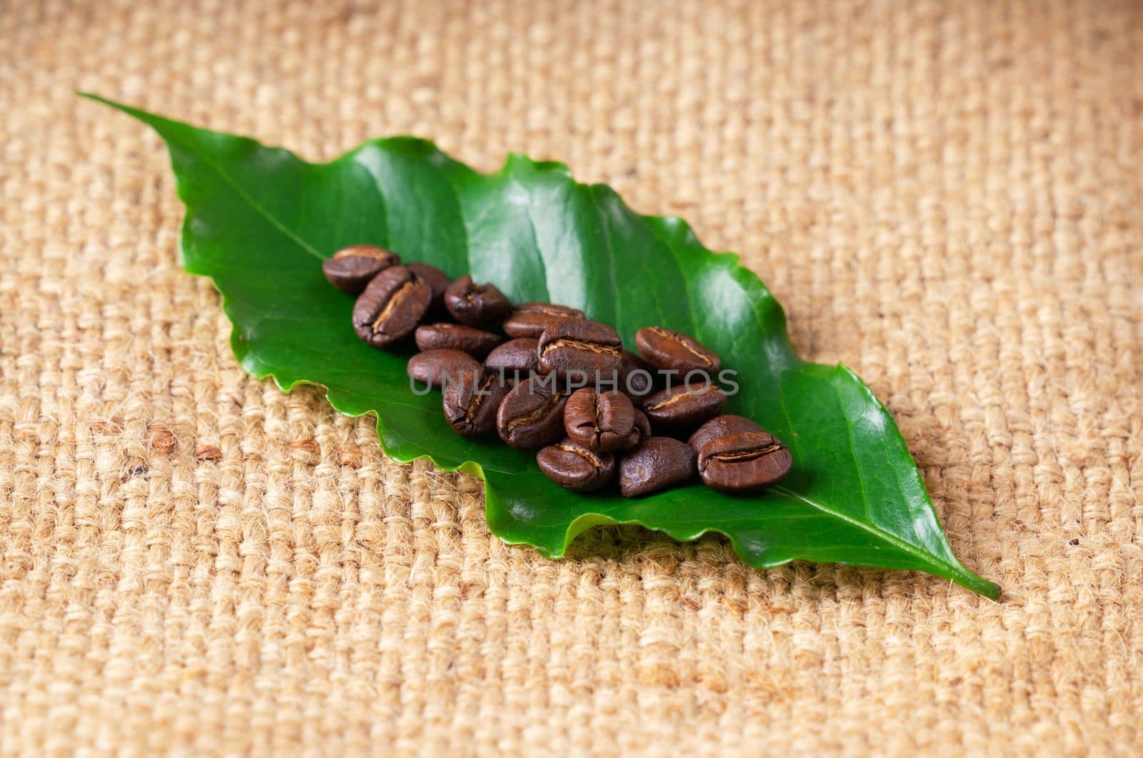 roasted coffee bean on linin sack by anankkml