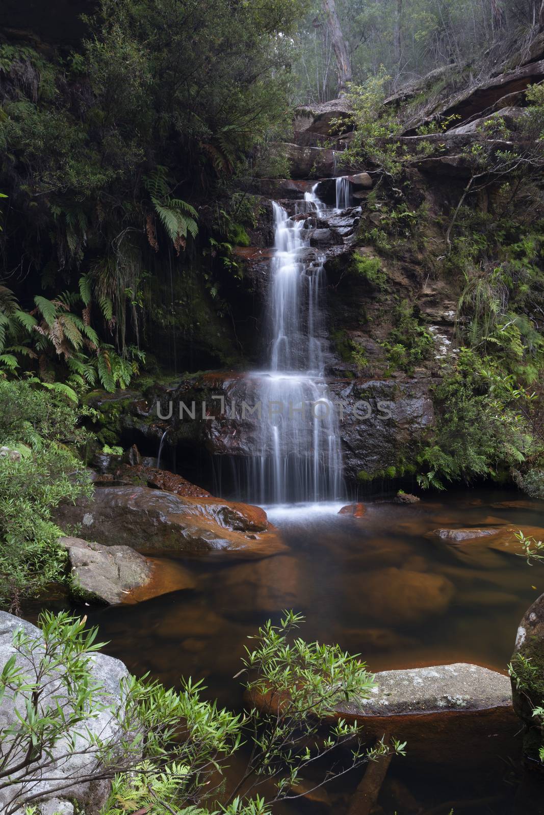 Bushland oasis with pretty waterfall tumbling into rock pool by lovleah