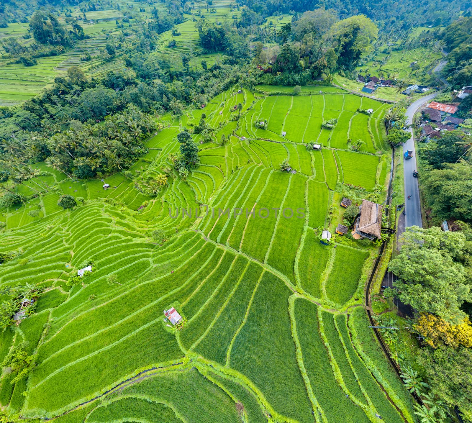 Aerial view of rice terraces in Bali, Indonesia by dutourdumonde