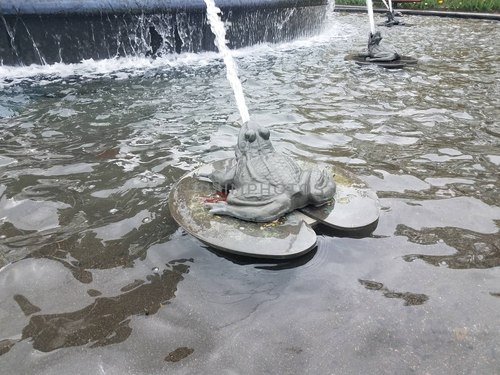 water fountain with frog shooting a stream or jet of water