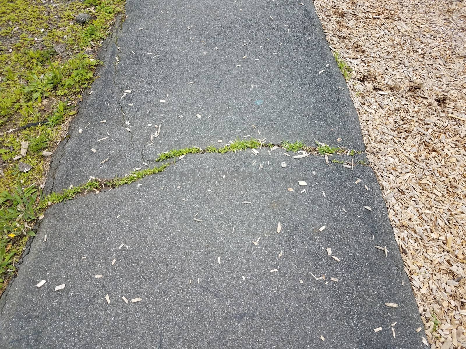 black asphalt trail or path with cracks and grass and wood chips